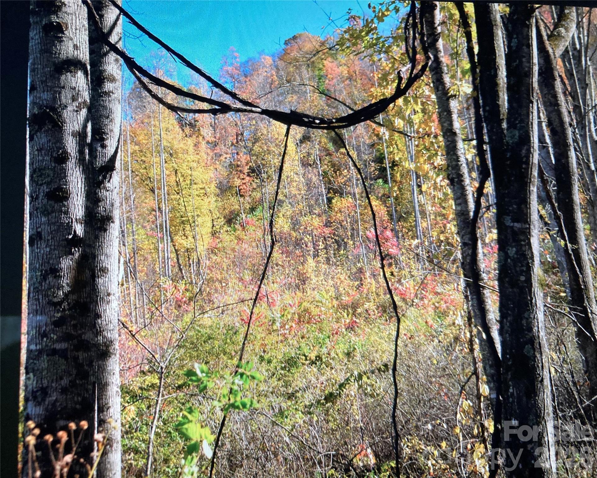 0 Prices Creek Road Burnsville NC 28714
