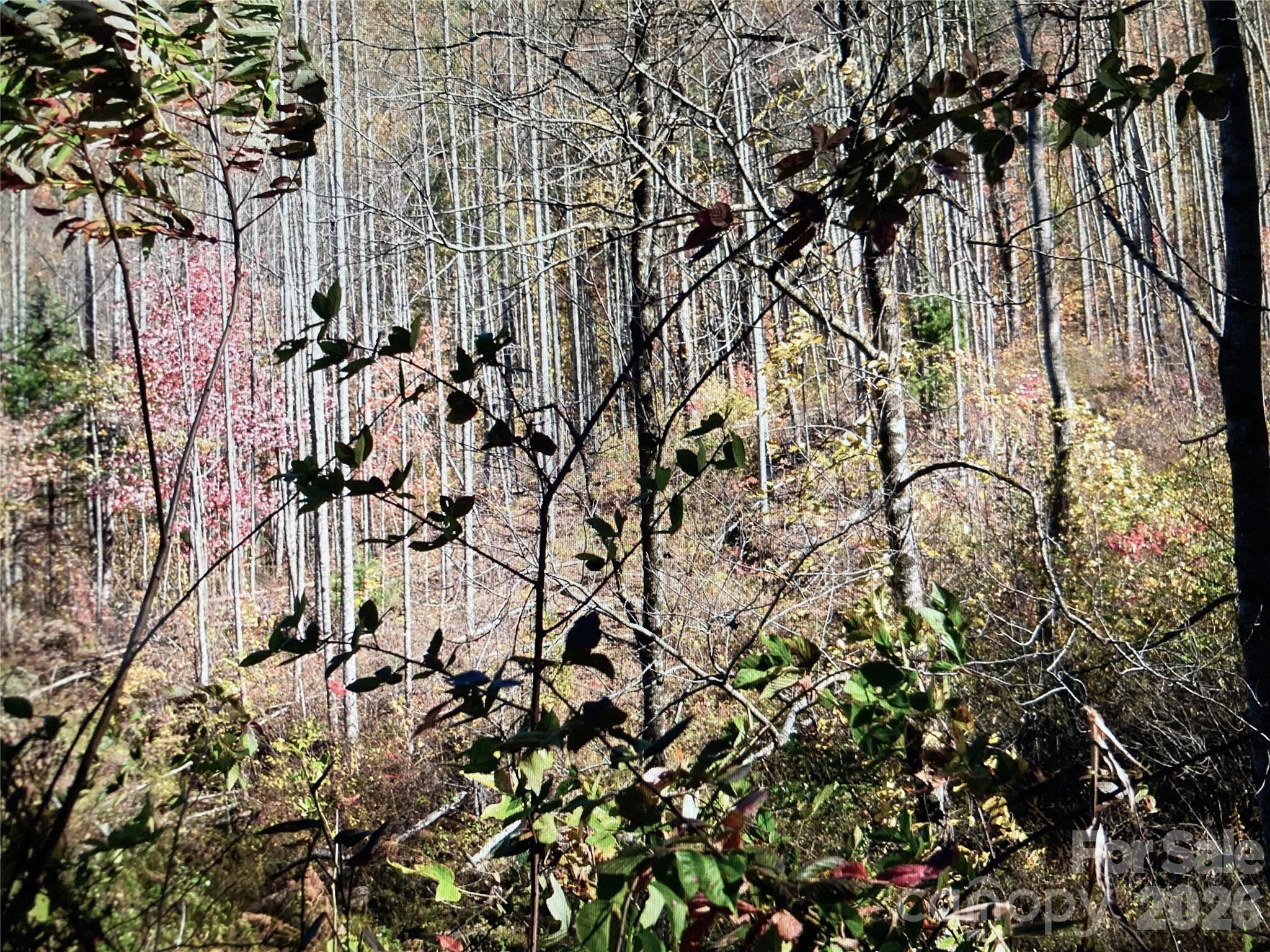 0 Prices Creek Road Burnsville NC 28714