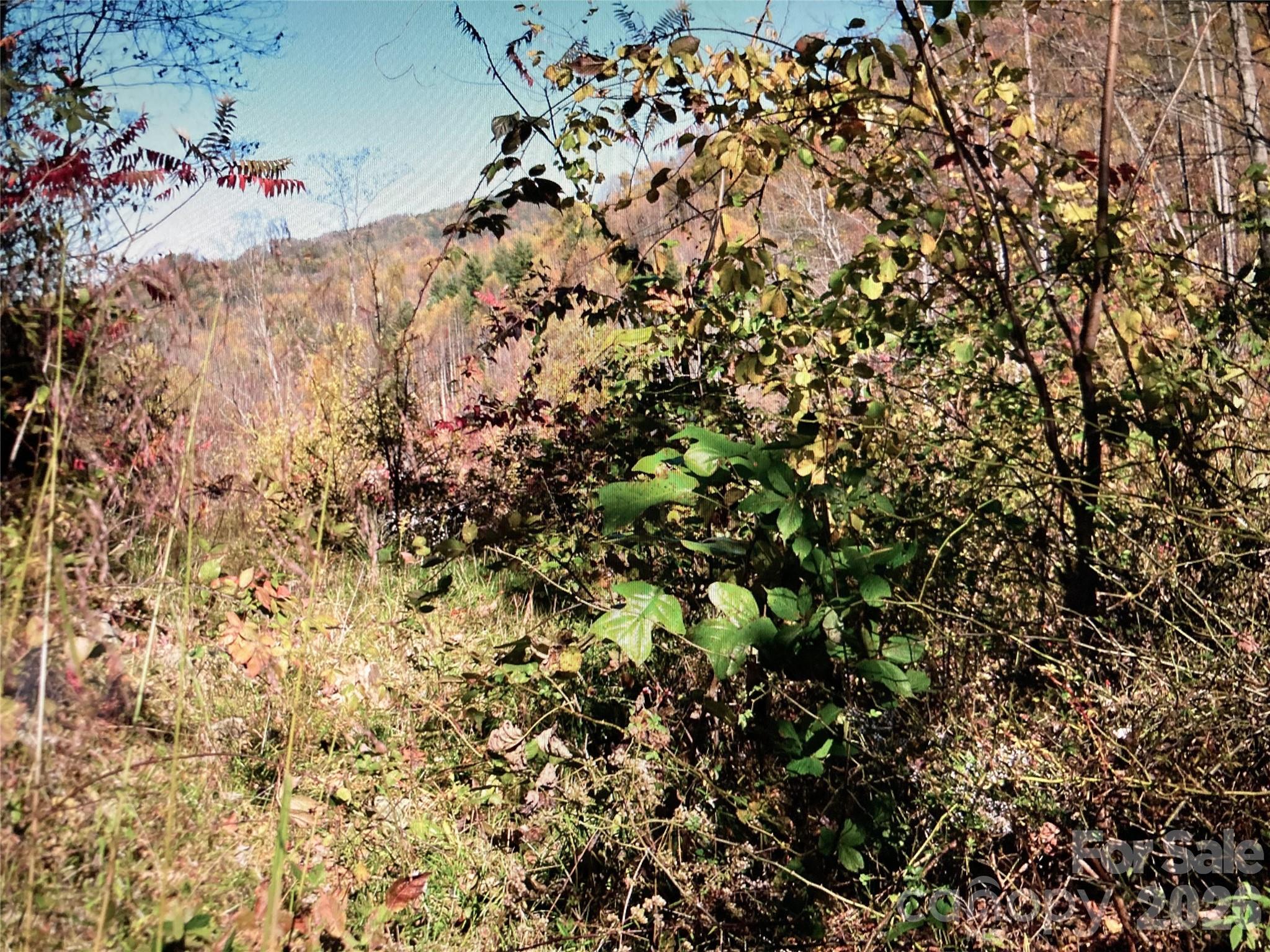0 Prices Creek Road Burnsville NC 28714
