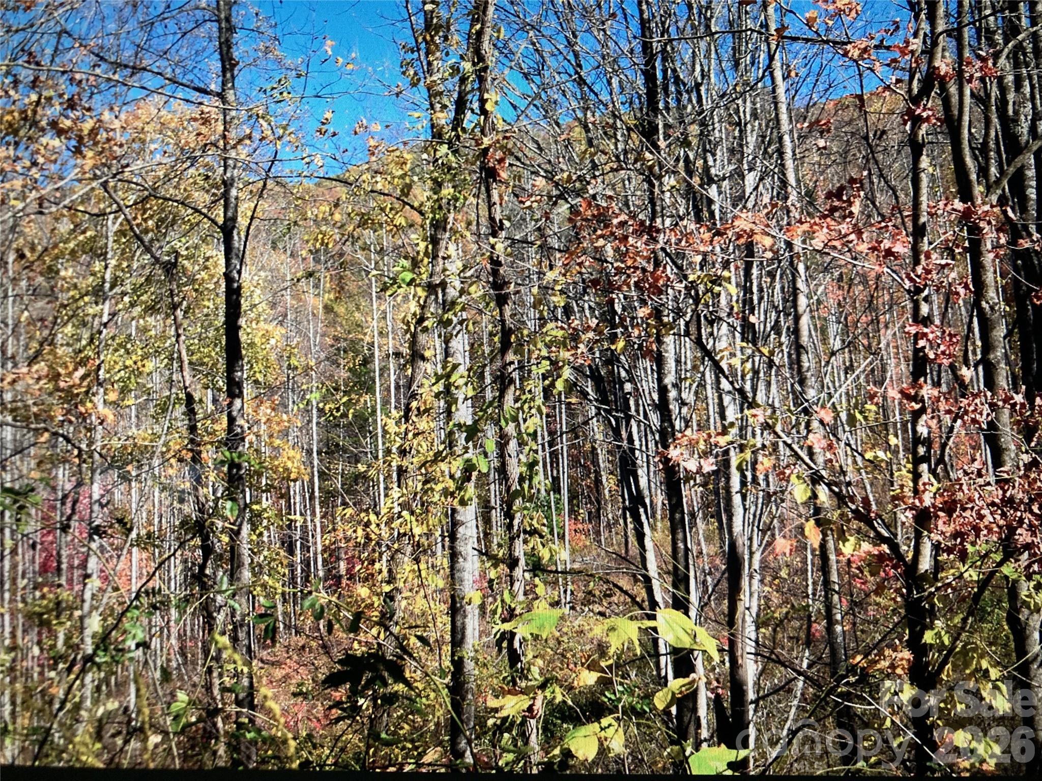 0 Prices Creek Road Burnsville NC 28714