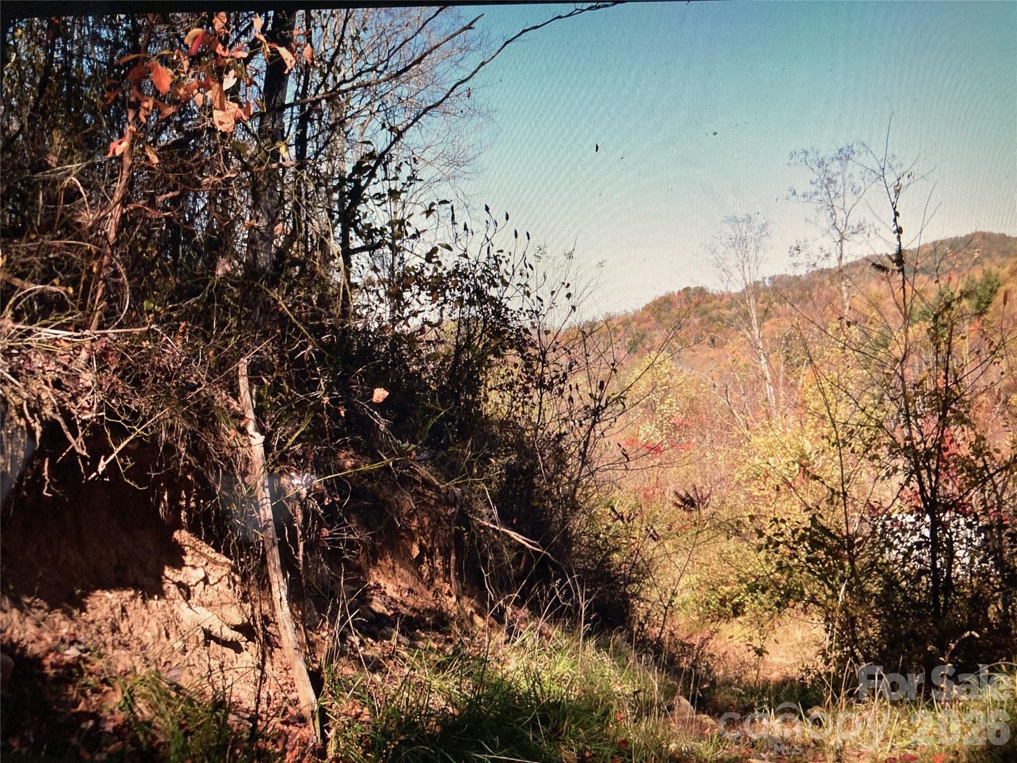 0 Prices Creek Road Burnsville NC 28714
