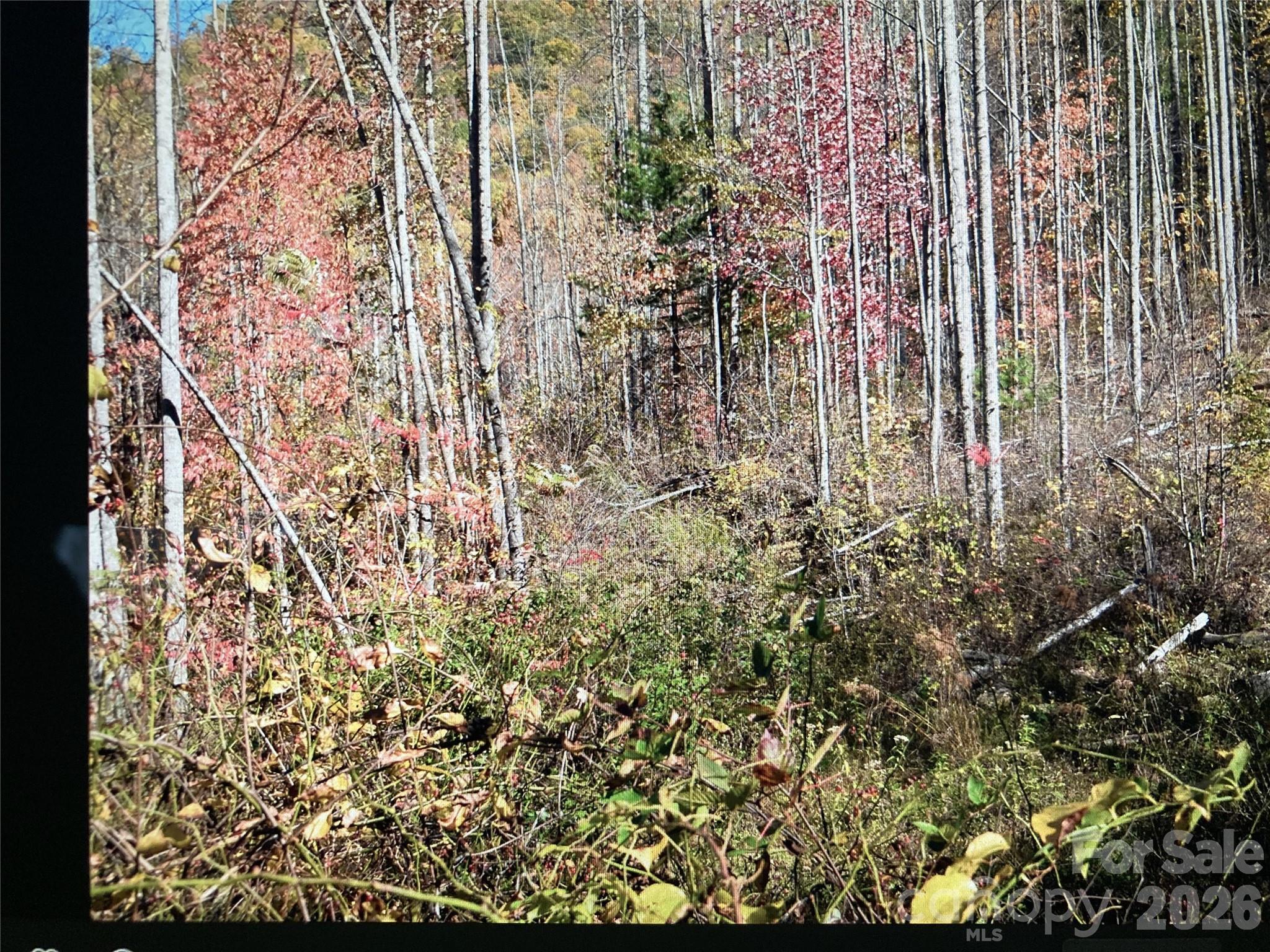 0 Prices Creek Road Burnsville NC 28714