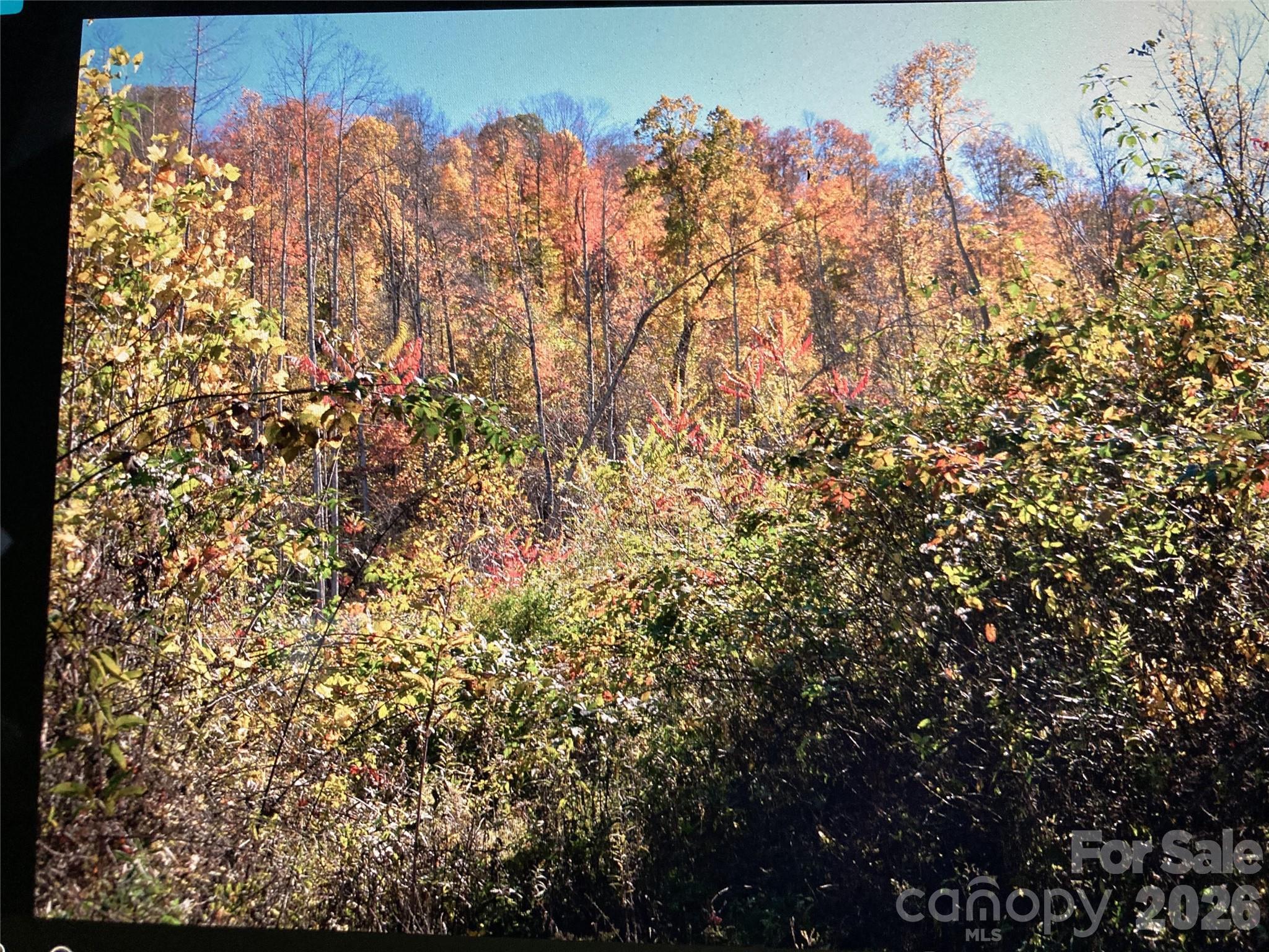 0 Prices Creek Road Burnsville NC 28714
