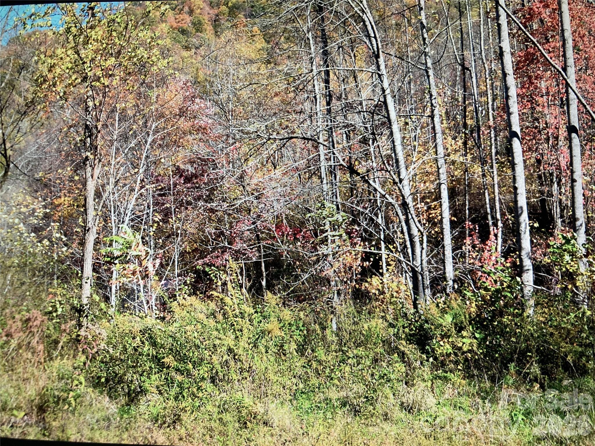 0 Prices Creek Road Burnsville NC 28714