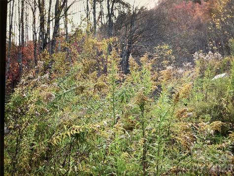 0 Prices Creek Road Burnsville NC 28714