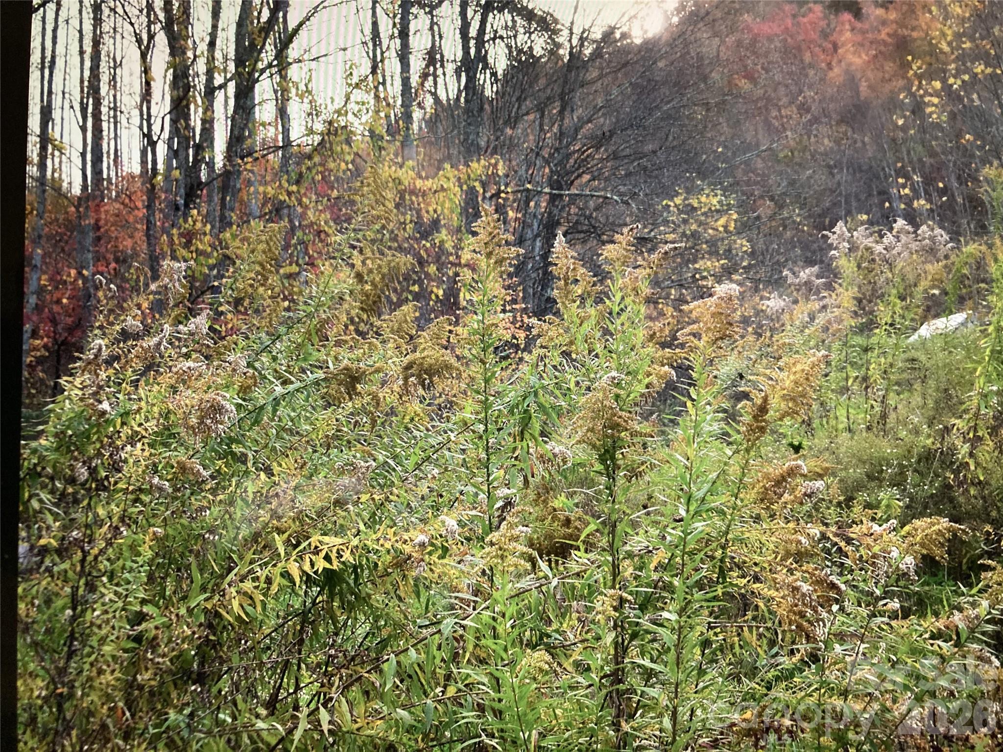 0 Prices Creek Road Burnsville NC 28714