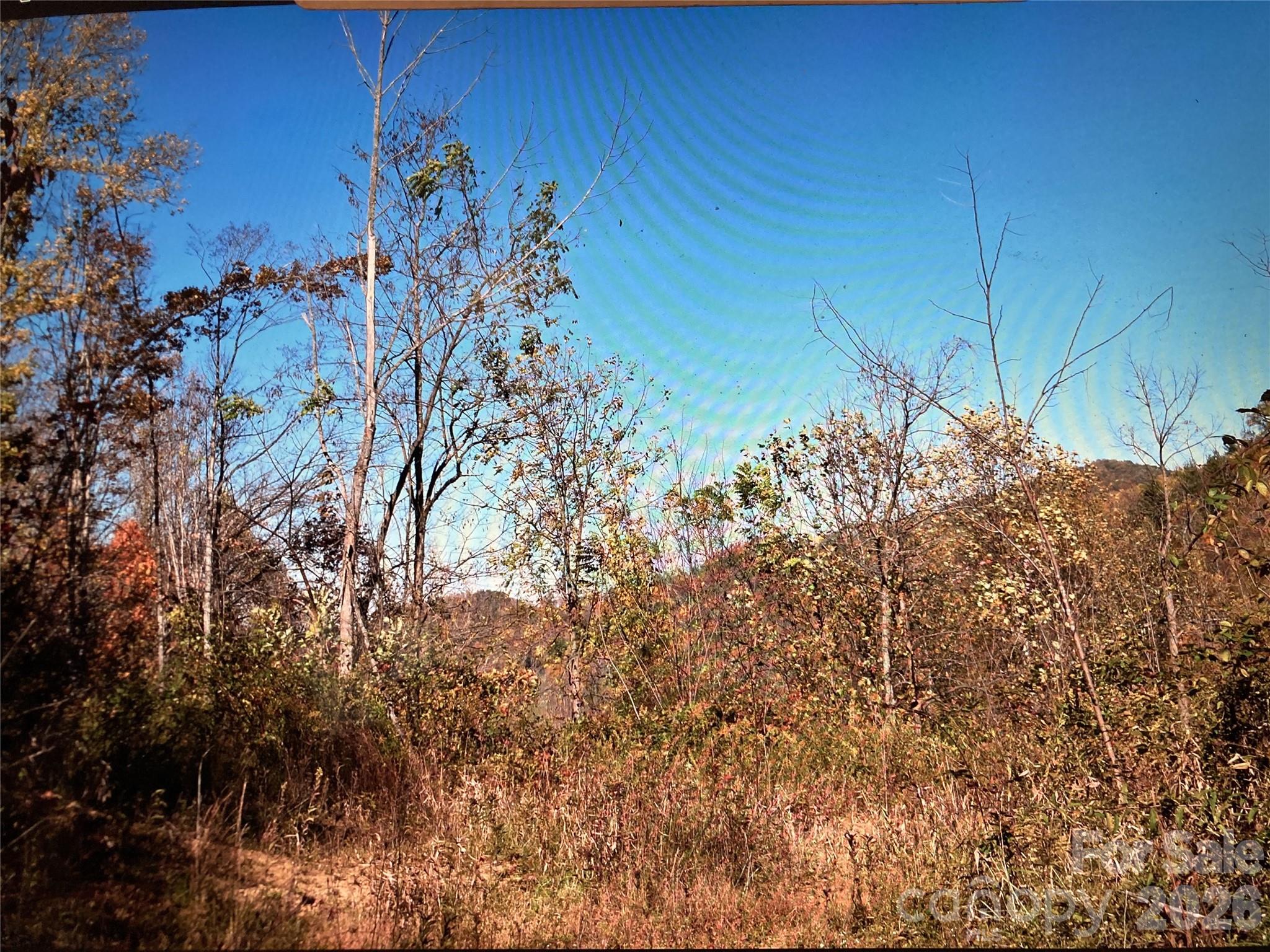0 Prices Creek Road Burnsville NC 28714