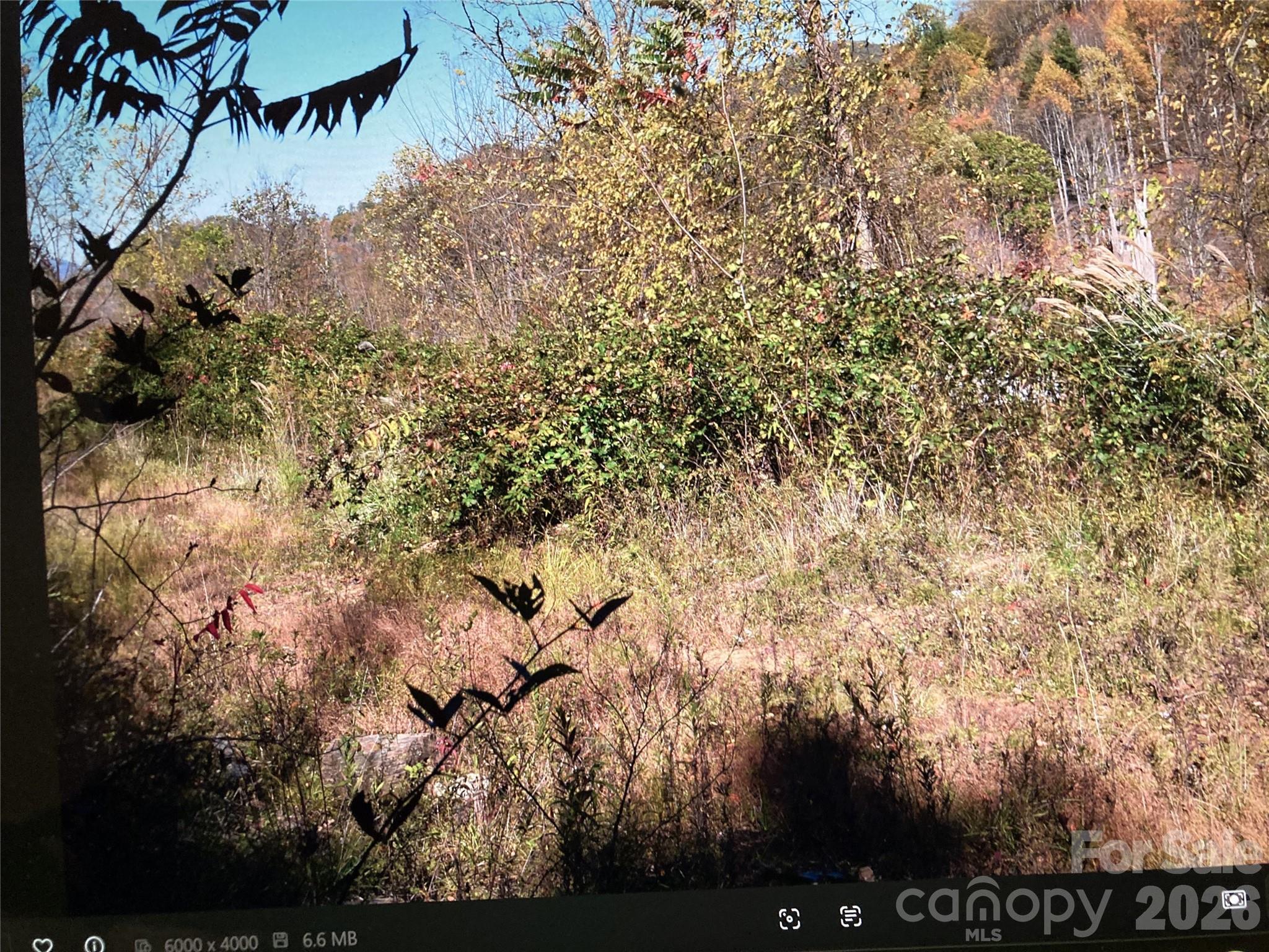 0 Prices Creek Road Burnsville NC 28714