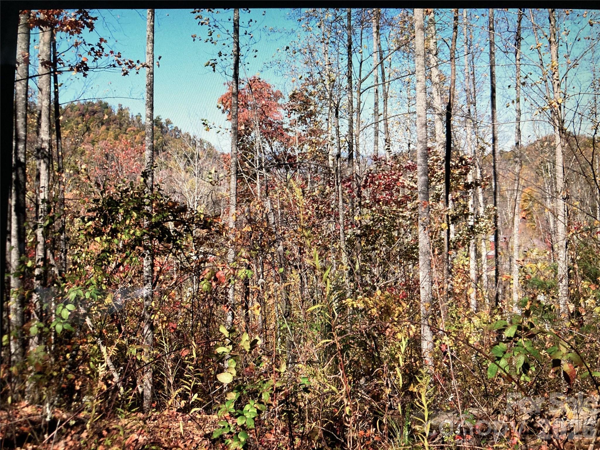 0 Prices Creek Road Burnsville NC 28714