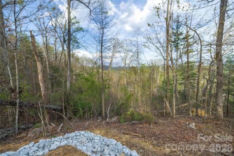 Lot 1 Wake Robin Way Asheville NC 28805