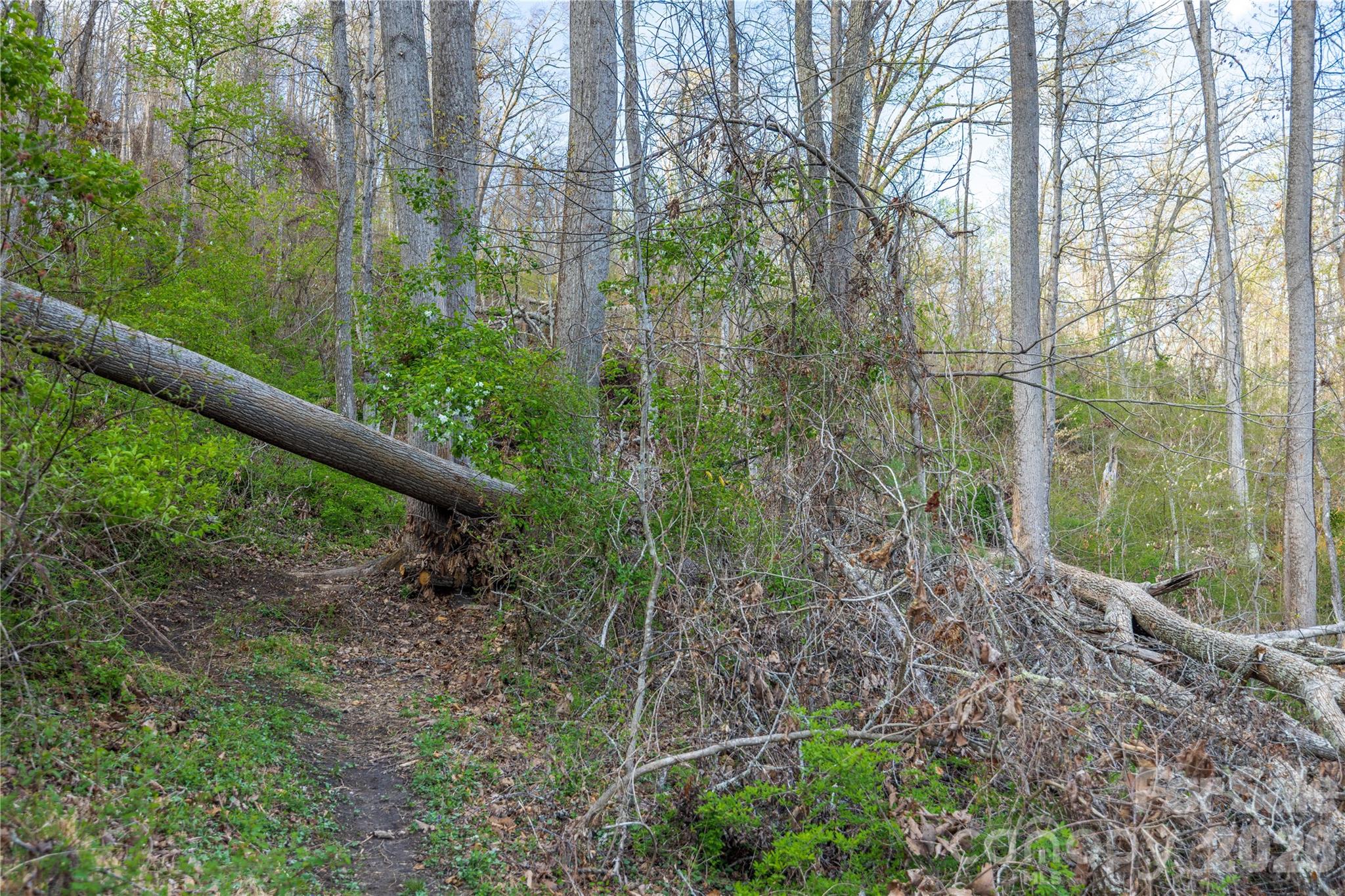 Lot 1 Wake Robin Way Asheville NC 28805