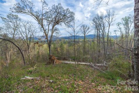 Lot 1 Wake Robin Way Asheville NC 28805