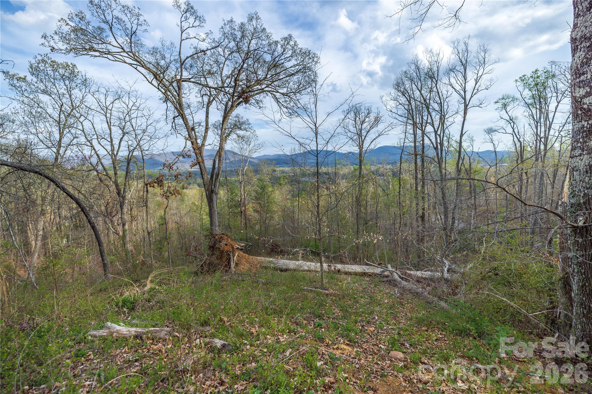 Lot 1 Wake Robin Way Asheville NC 28805