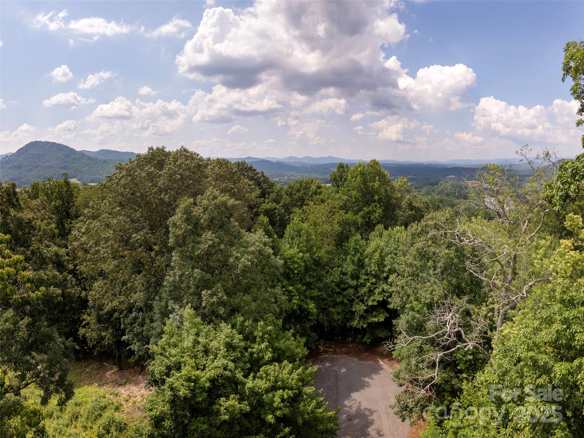 61 Arabella Lane Arden NC 28704