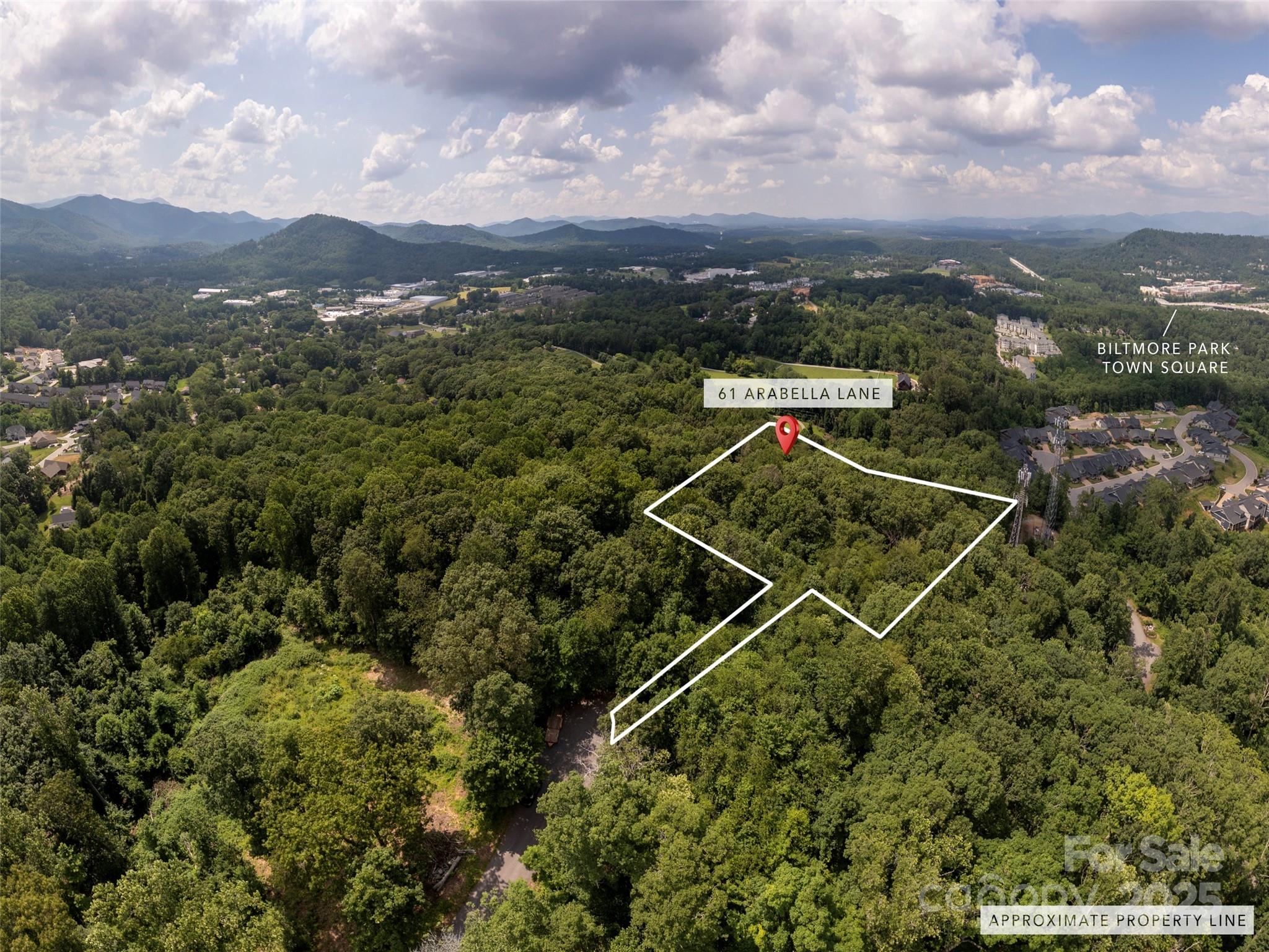 61 Arabella Lane Arden NC 28704