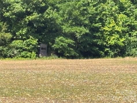 00 White Store Road Peachland NC 28133