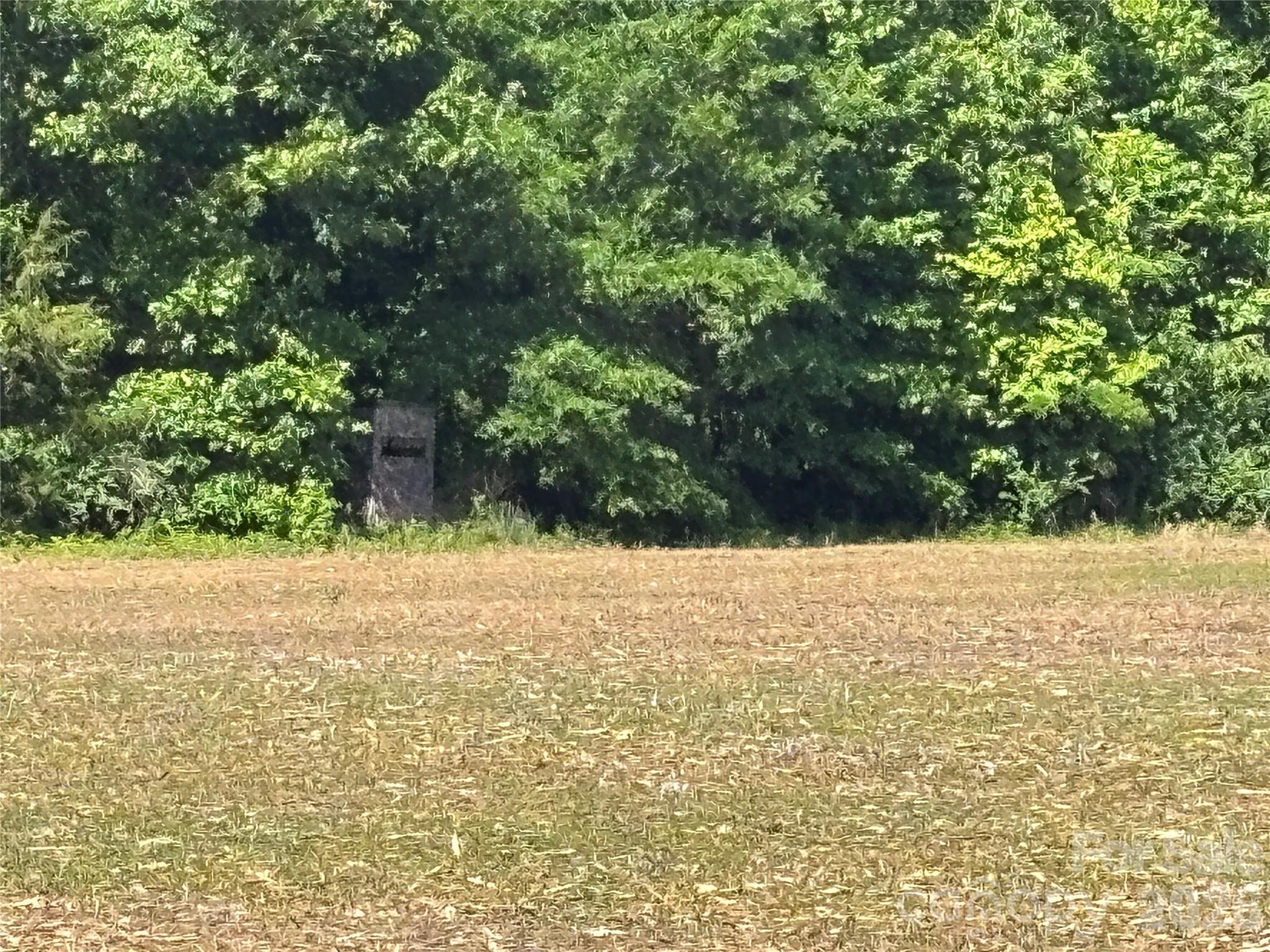 00 White Store Road Peachland NC 28133