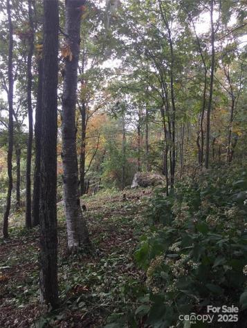 00 Morning Ride Drive Columbus NC 28722