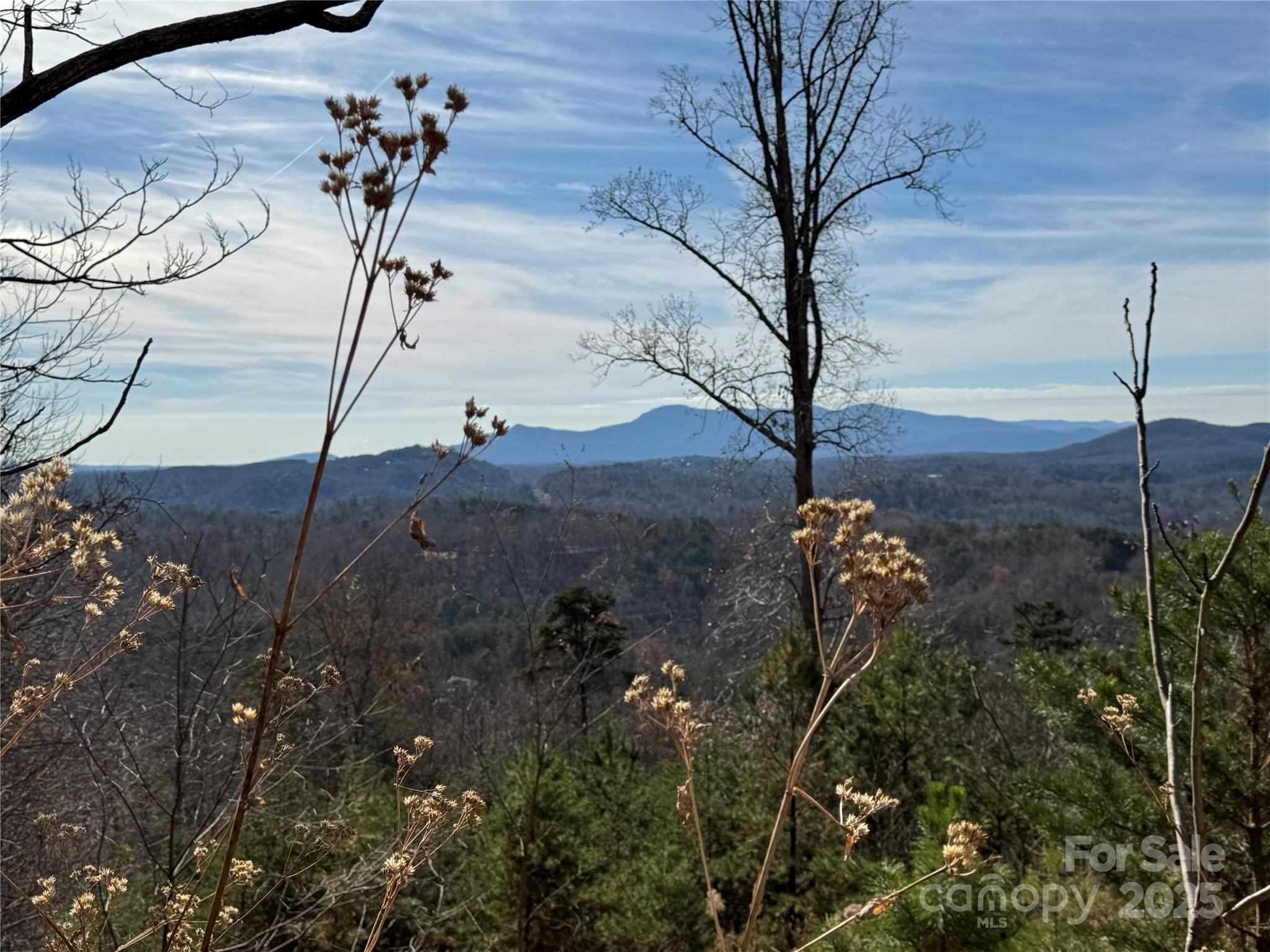 Lot 22 High Rock Ridge Lake Lure NC 28746