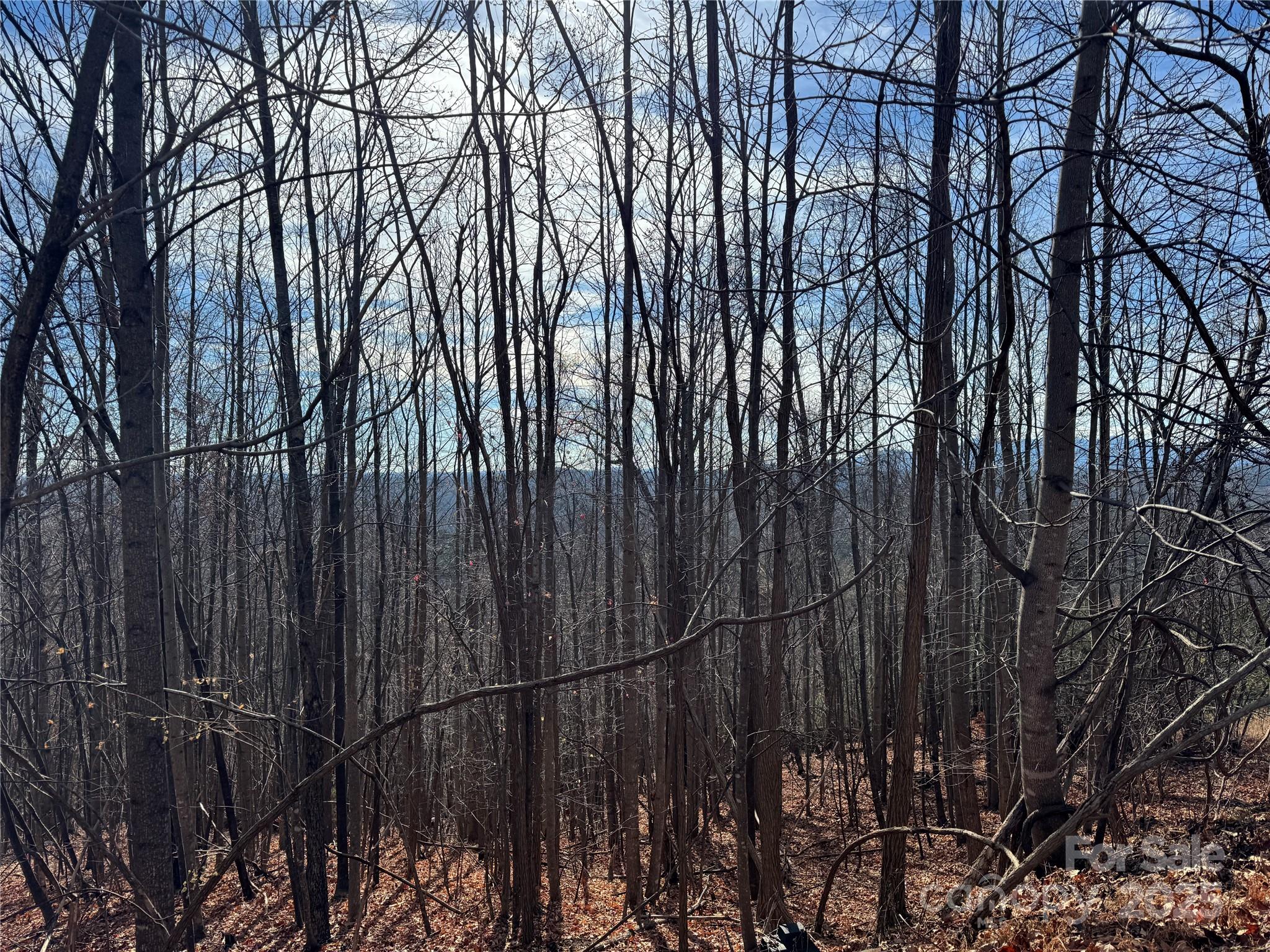 Lot 22 High Rock Ridge Lake Lure NC 28746