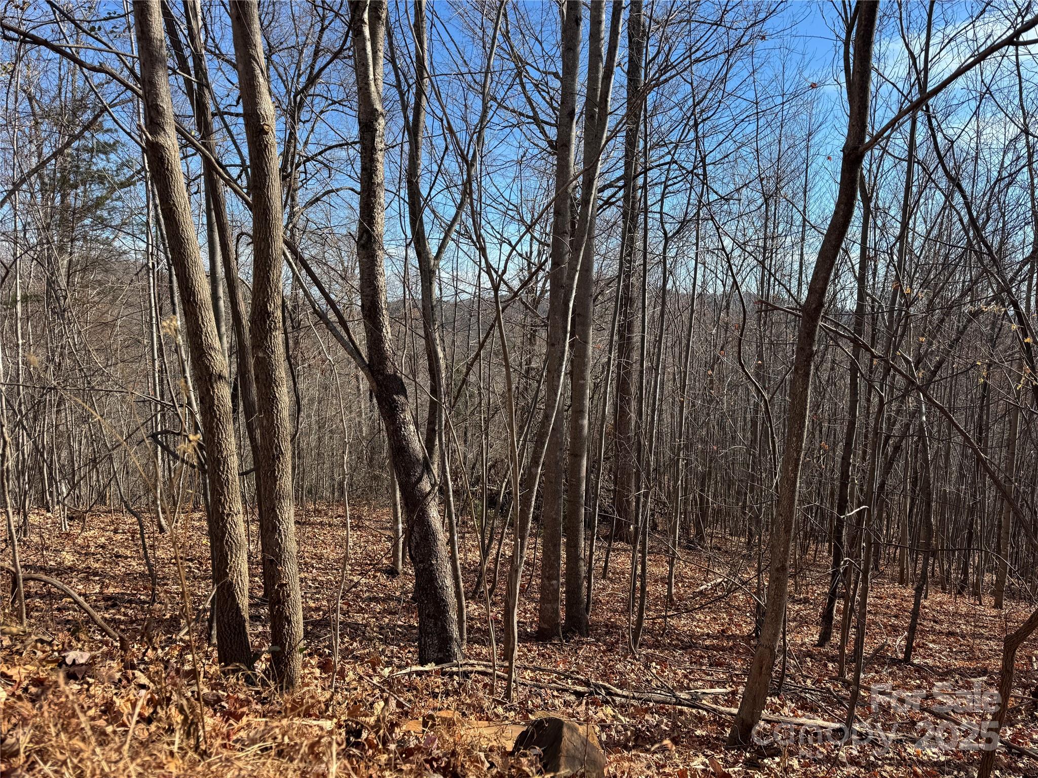 Lot 22 High Rock Ridge Lake Lure NC 28746