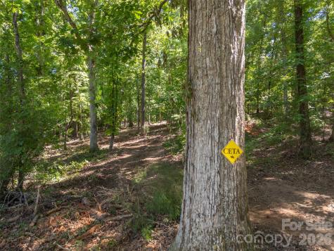 00 Green Fields Lane Columbus NC 28722