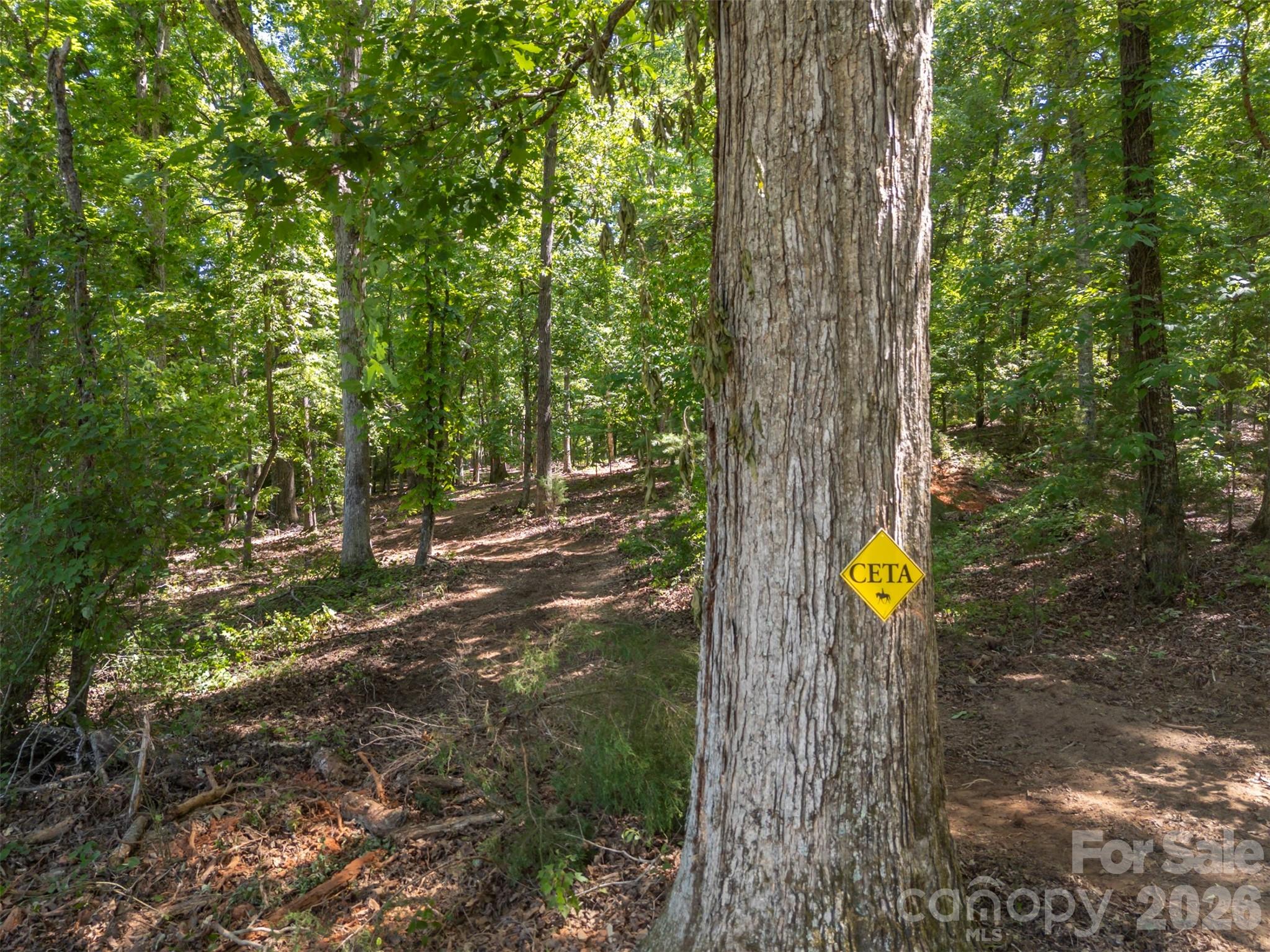 00 Green Fields Lane Columbus NC 28722