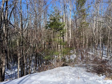 Tbd (Lots 13 & 14) Timberwilde Drive Laurel Springs NC 28644