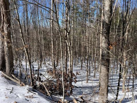 Tbd (Lots 13 & 14) Timberwilde Drive Laurel Springs NC 28644