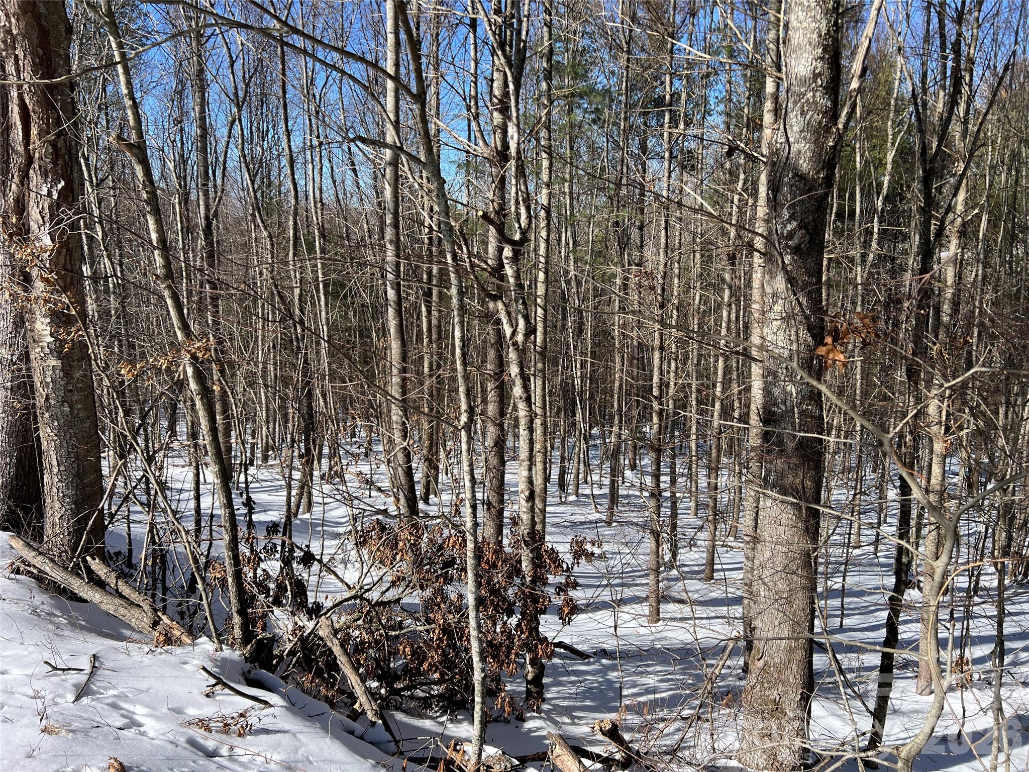 Tbd (Lots 13 & 14) Timberwilde Drive Laurel Springs NC 28644