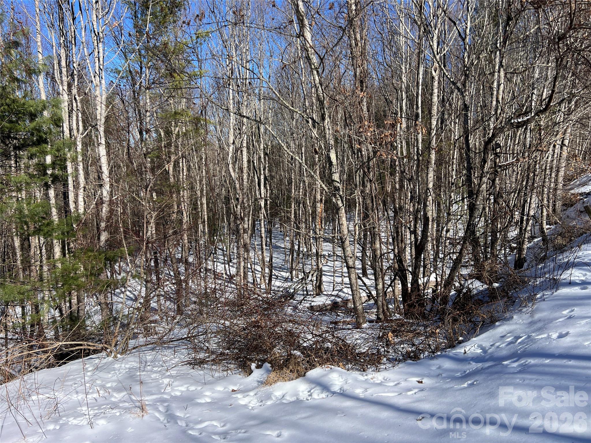 Tbd (Lots 13 & 14) Timberwilde Drive Laurel Springs NC 28644