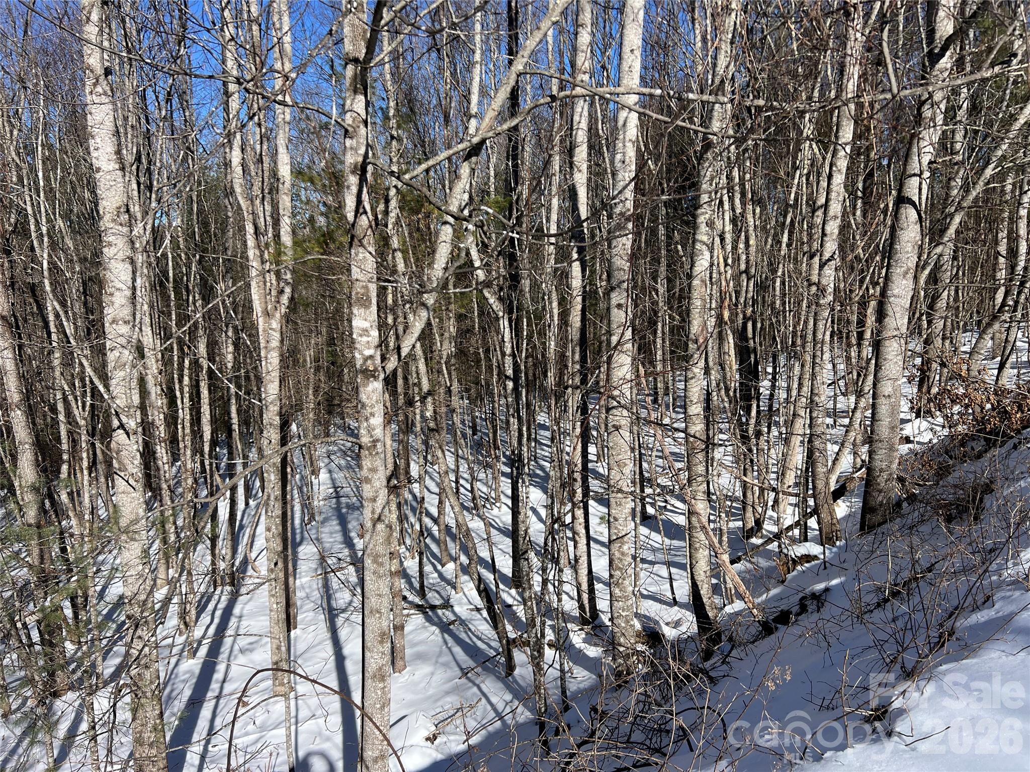 Tbd (Lots 13 & 14) Timberwilde Drive Laurel Springs NC 28644