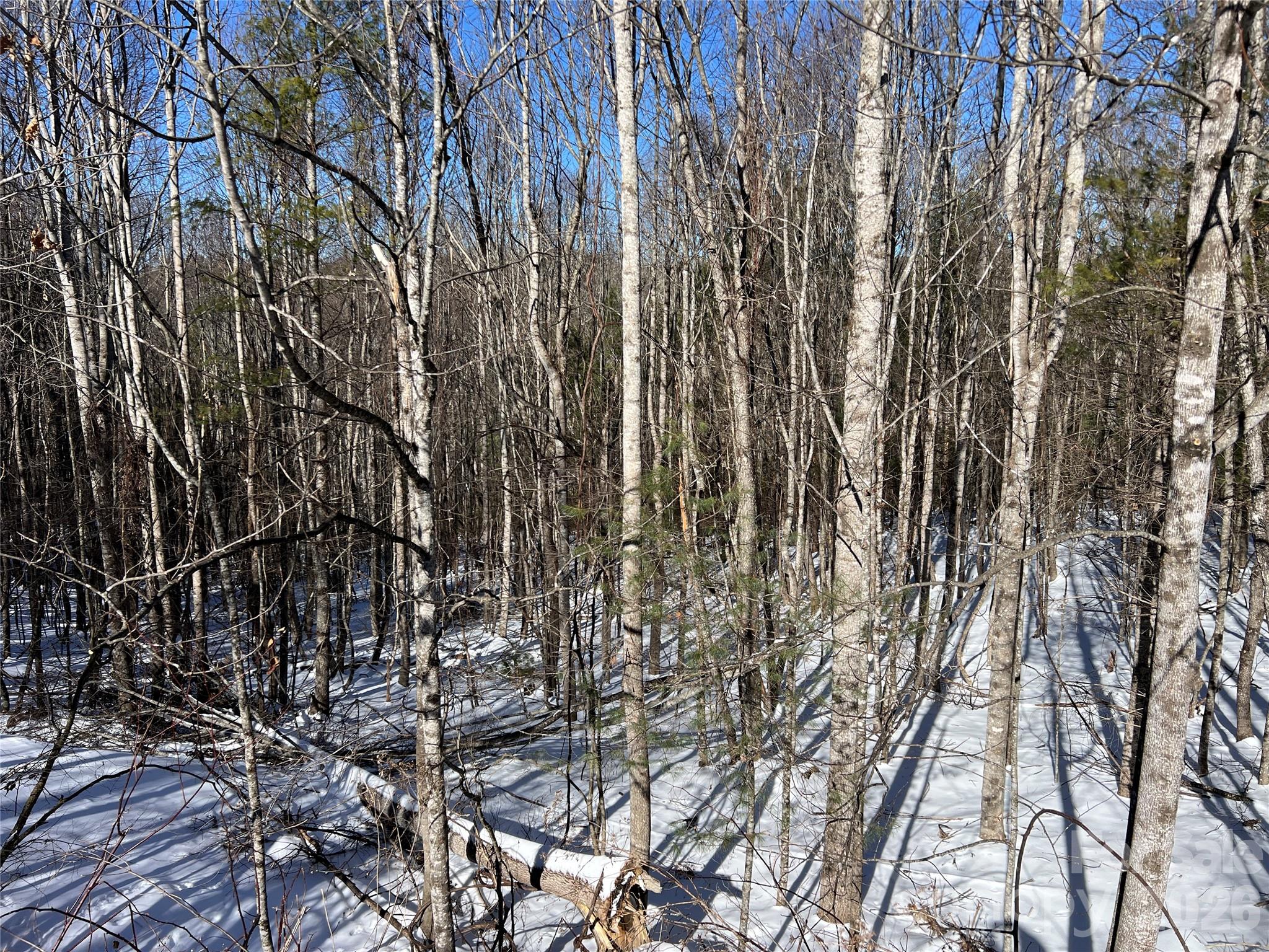 Tbd (Lots 13 & 14) Timberwilde Drive Laurel Springs NC 28644