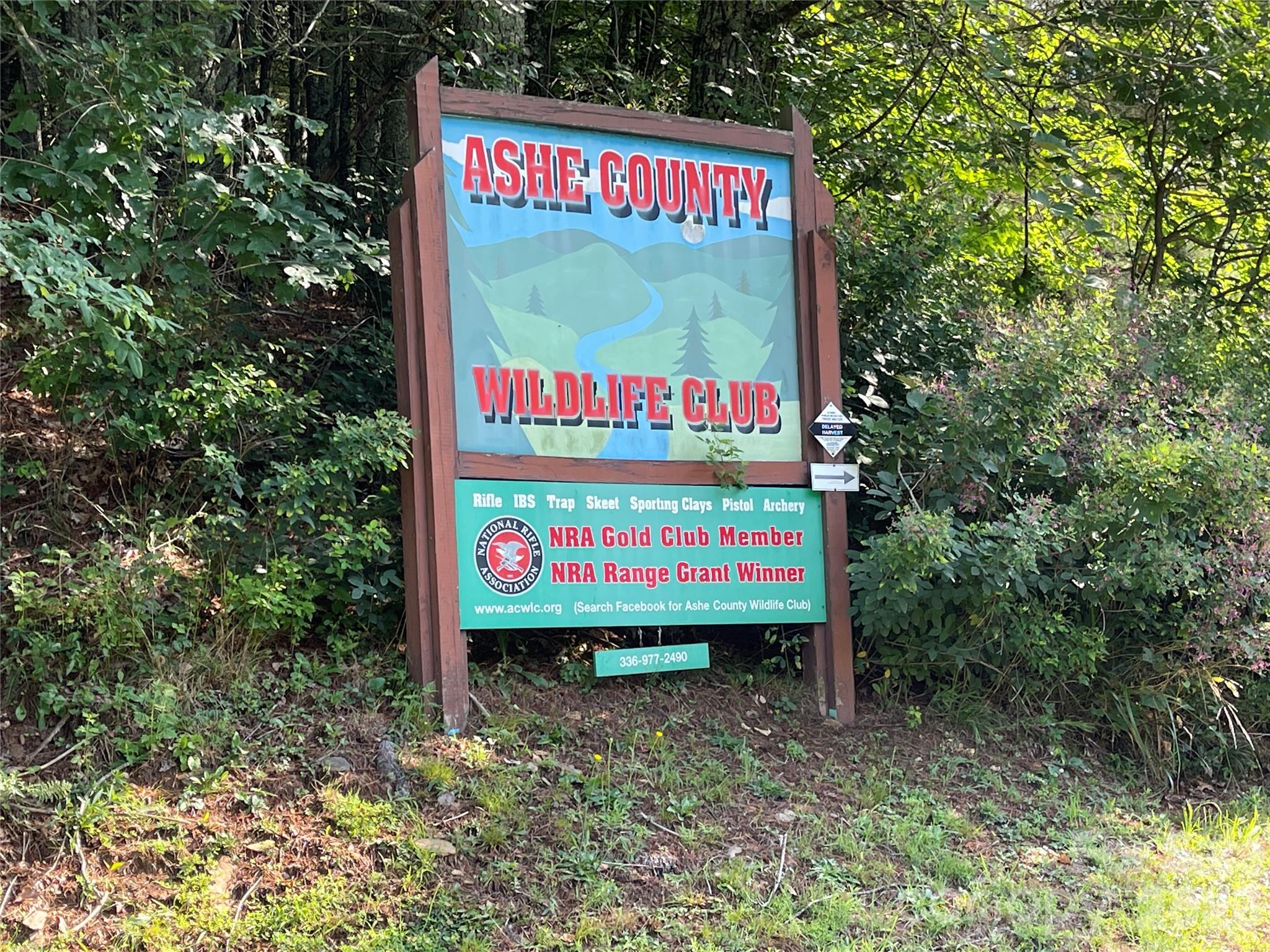 Tbd (Lots 13 & 14) Timberwilde Drive Laurel Springs NC 28644