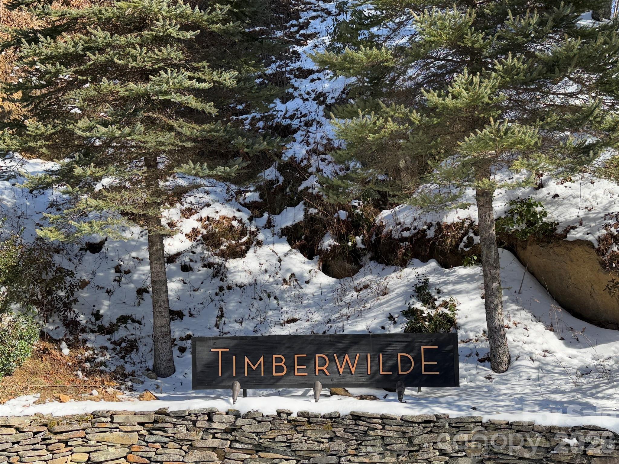 Tbd (Lots 13 & 14) Timberwilde Drive Laurel Springs NC 28644