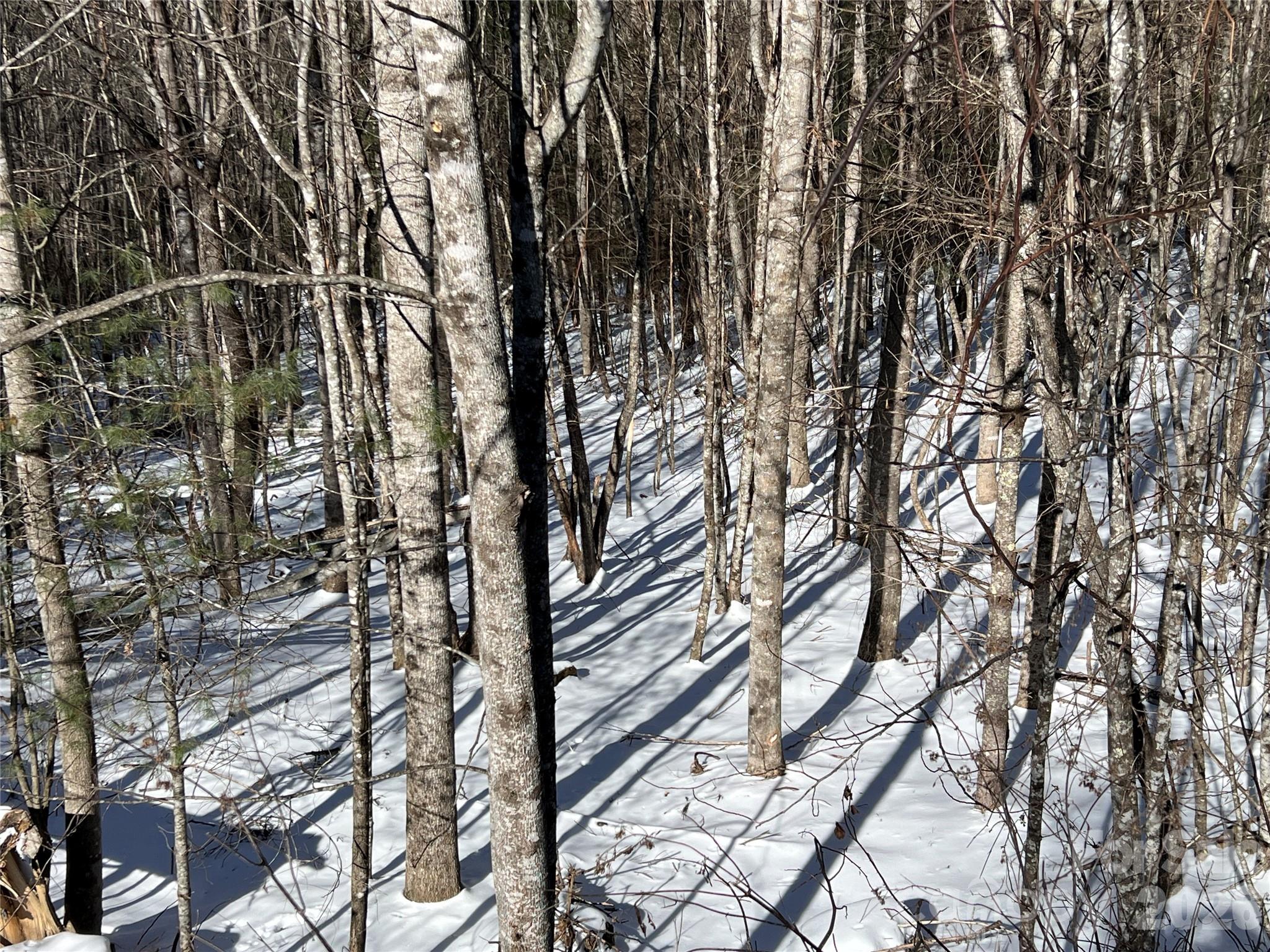 Tbd (Lots 13 & 14) Timberwilde Drive Laurel Springs NC 28644