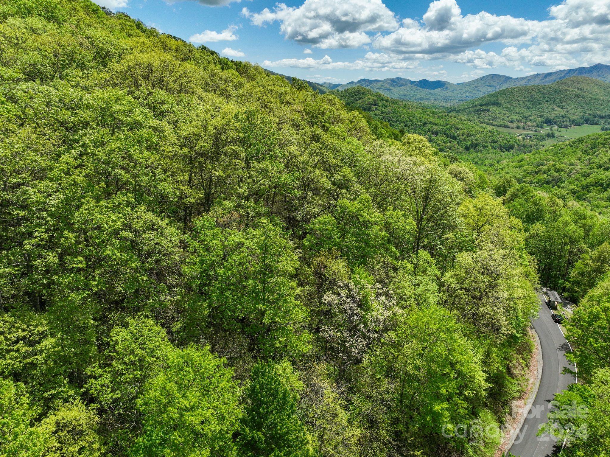 99999 Winding Poplar Road Black Mountain NC 28711