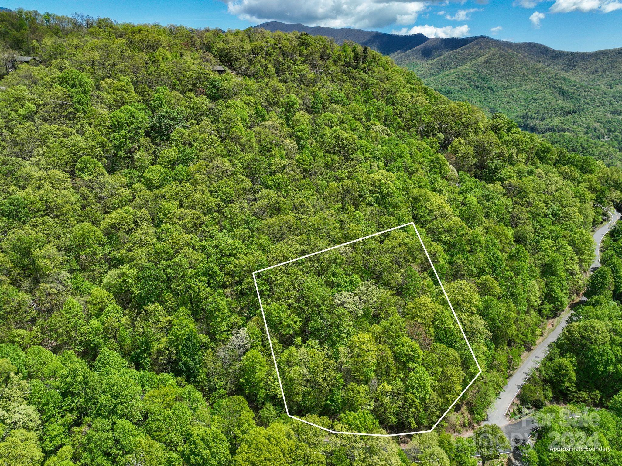 99999 Winding Poplar Road Black Mountain NC 28711