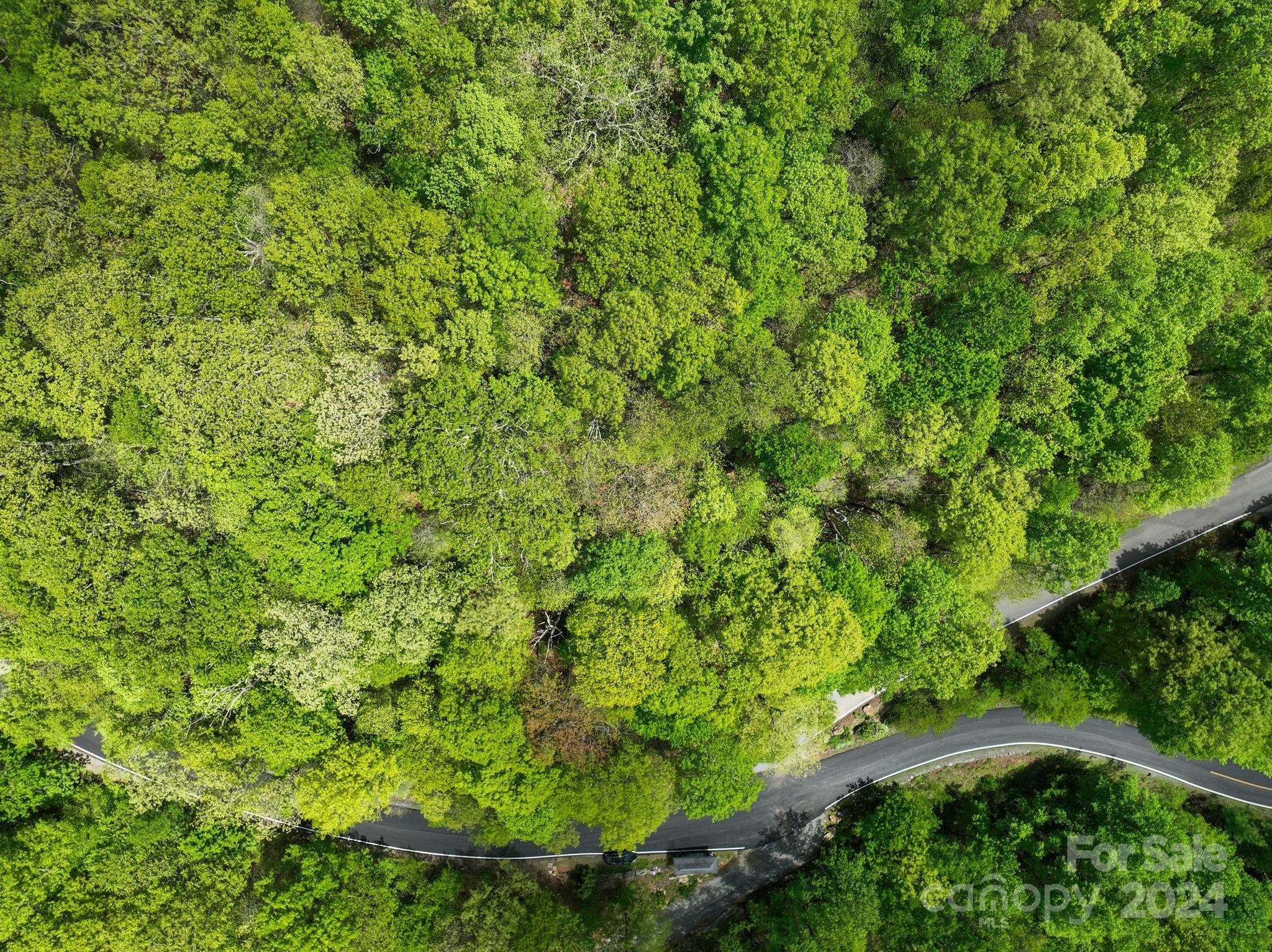 99999 Winding Poplar Road Black Mountain NC 28711