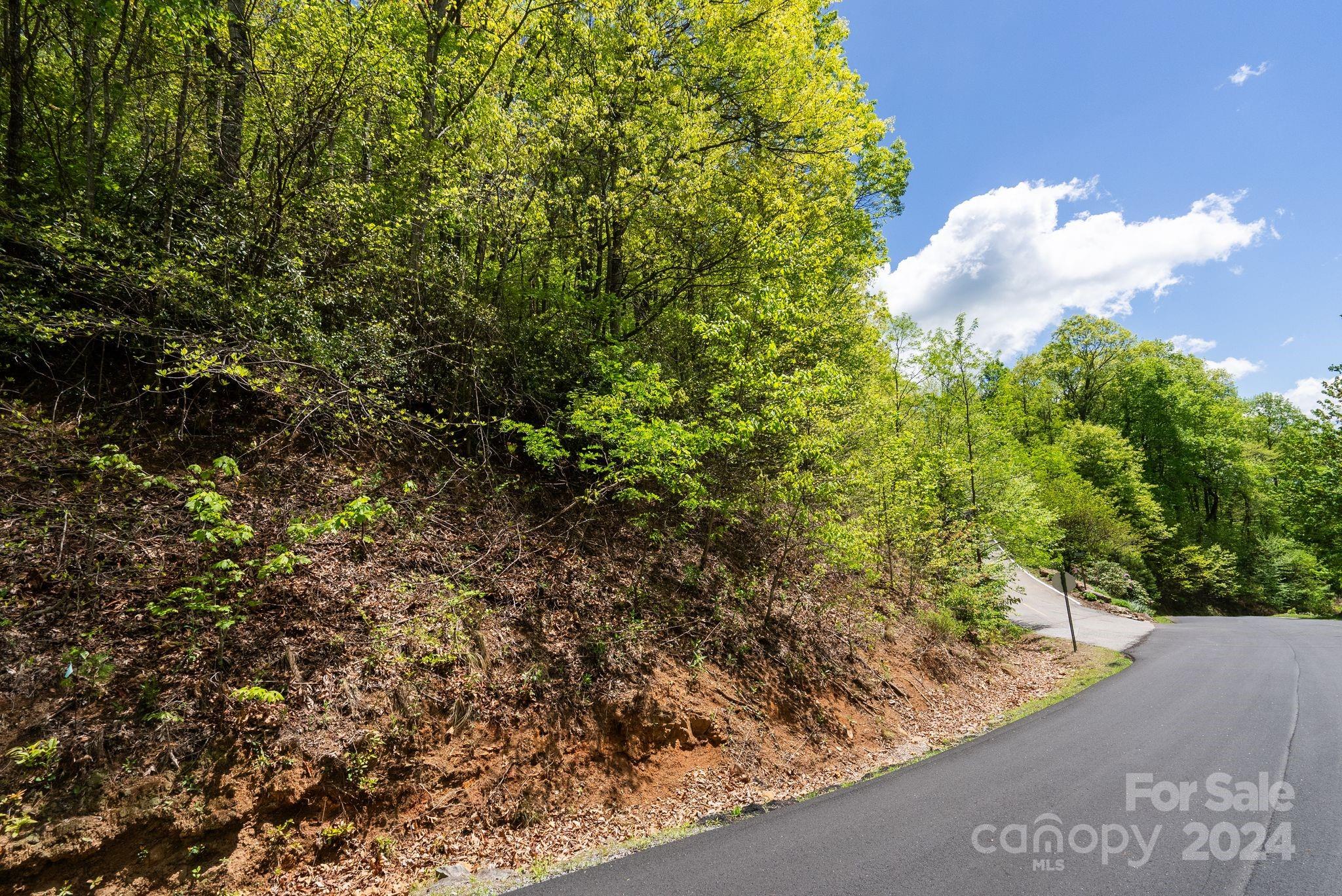 99999 Winding Poplar Road Black Mountain NC 28711