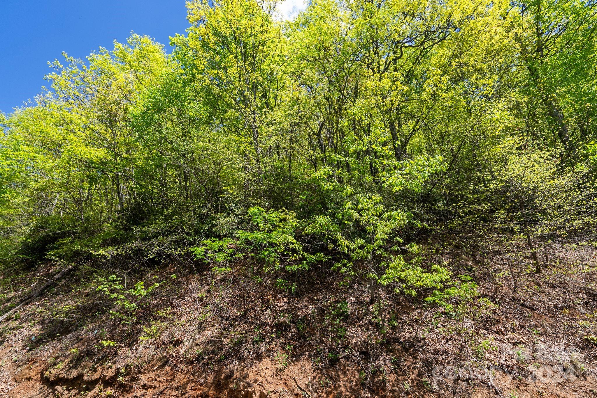 99999 Winding Poplar Road Black Mountain NC 28711