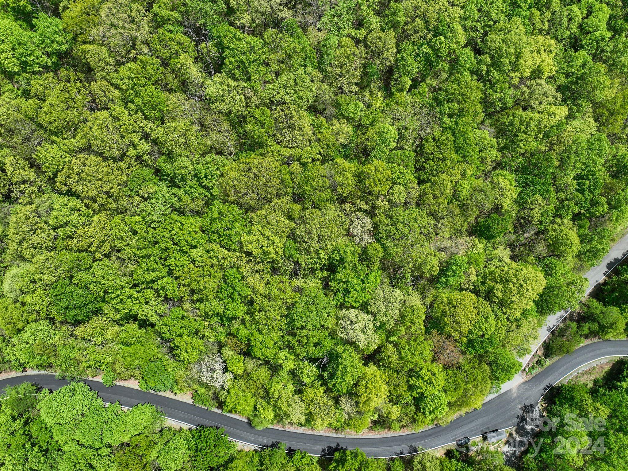 99999 Winding Poplar Road Black Mountain NC 28711