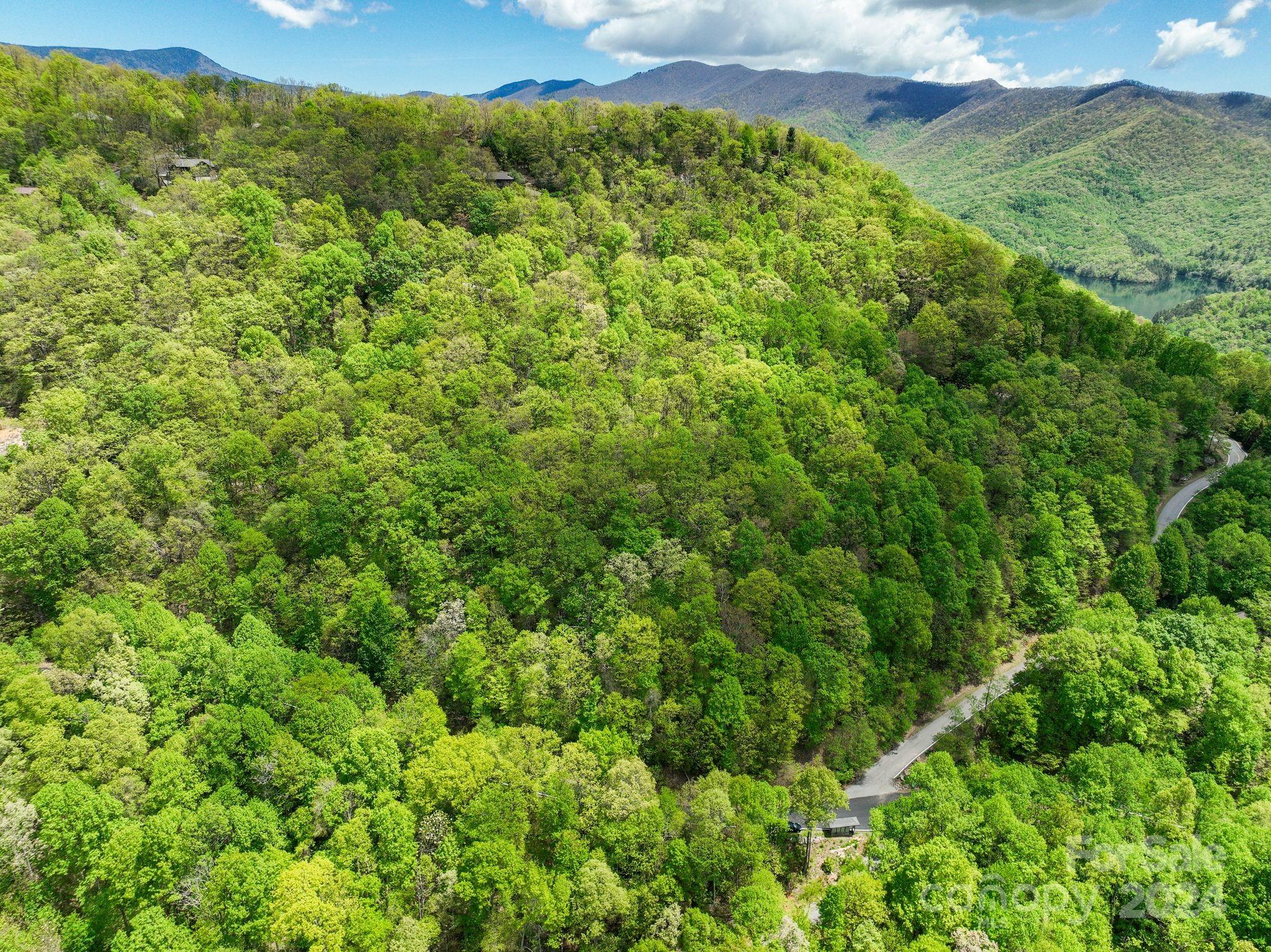 99999 Winding Poplar Road Black Mountain NC 28711