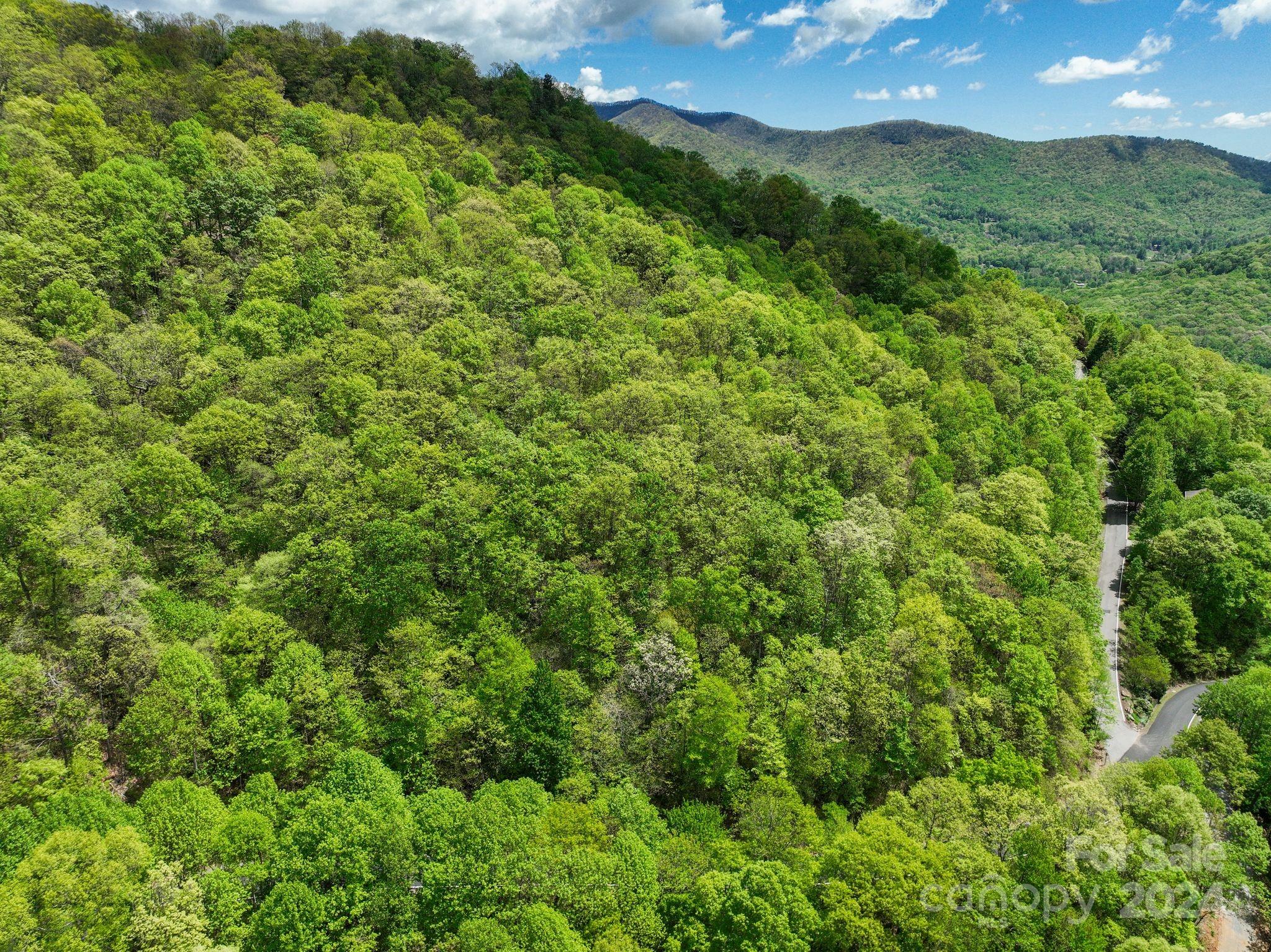 99999 Winding Poplar Road Black Mountain NC 28711