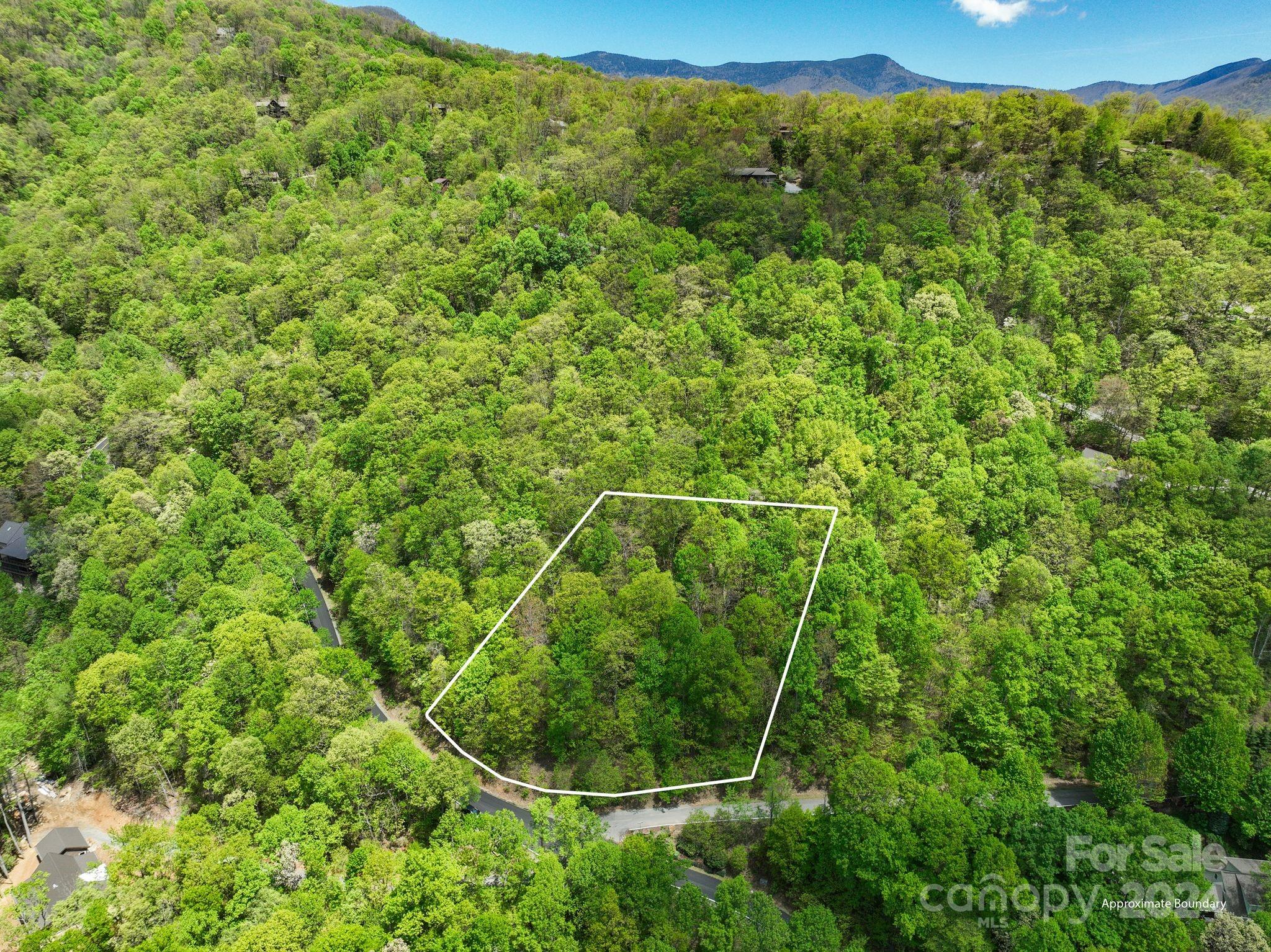 99999 Winding Poplar Road Black Mountain NC 28711