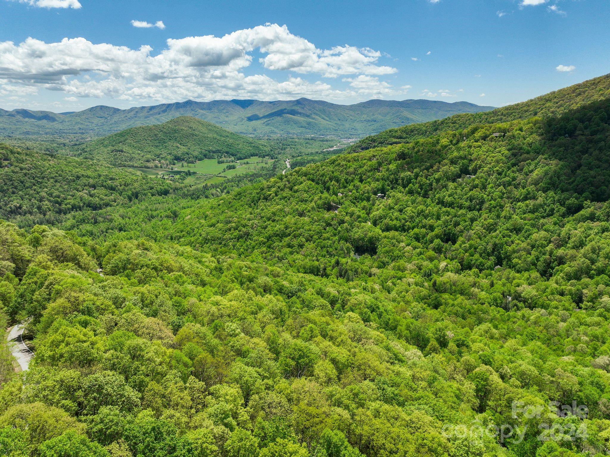 99999 Winding Poplar Road Black Mountain NC 28711