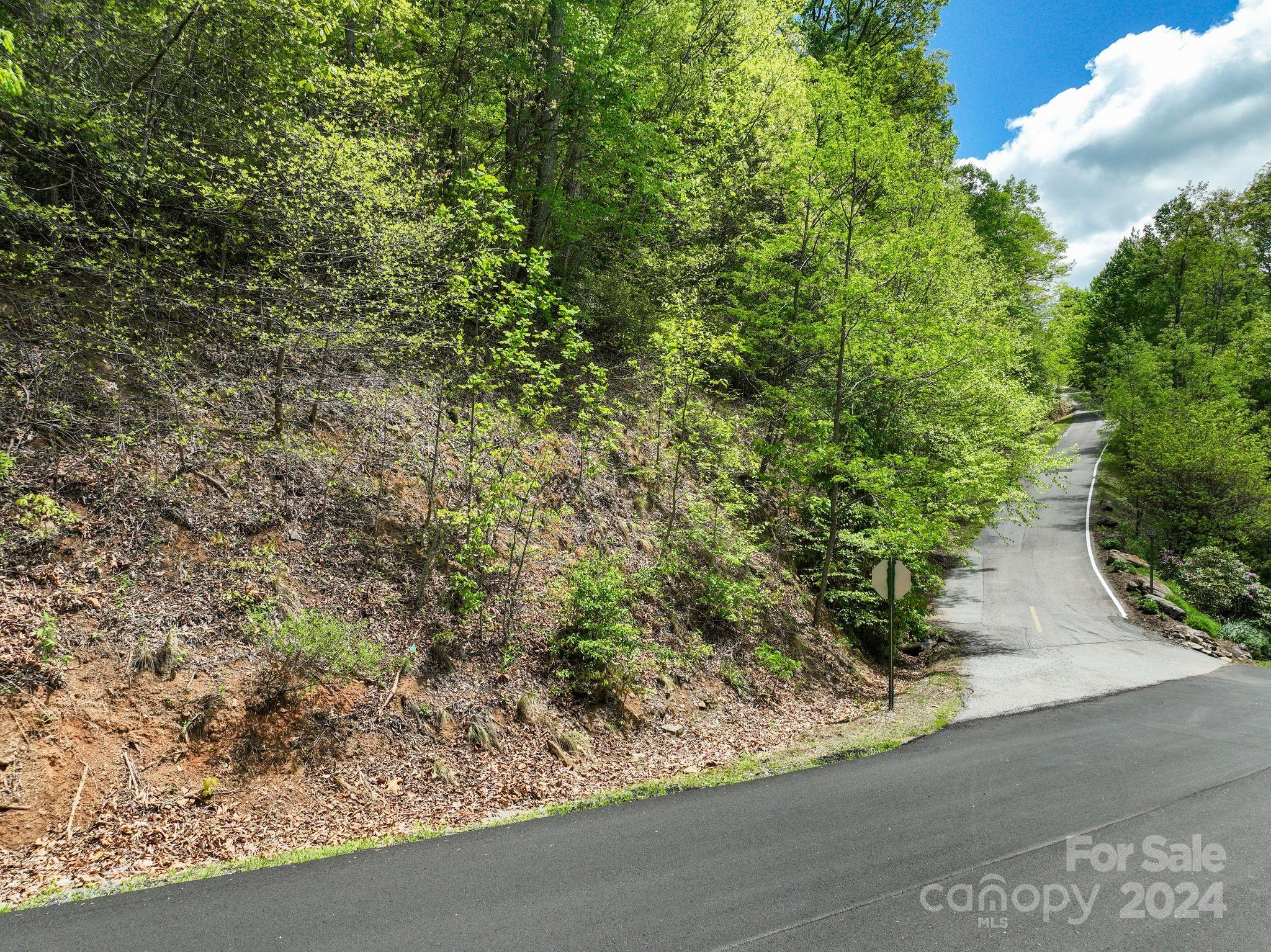 99999 Winding Poplar Road Black Mountain NC 28711