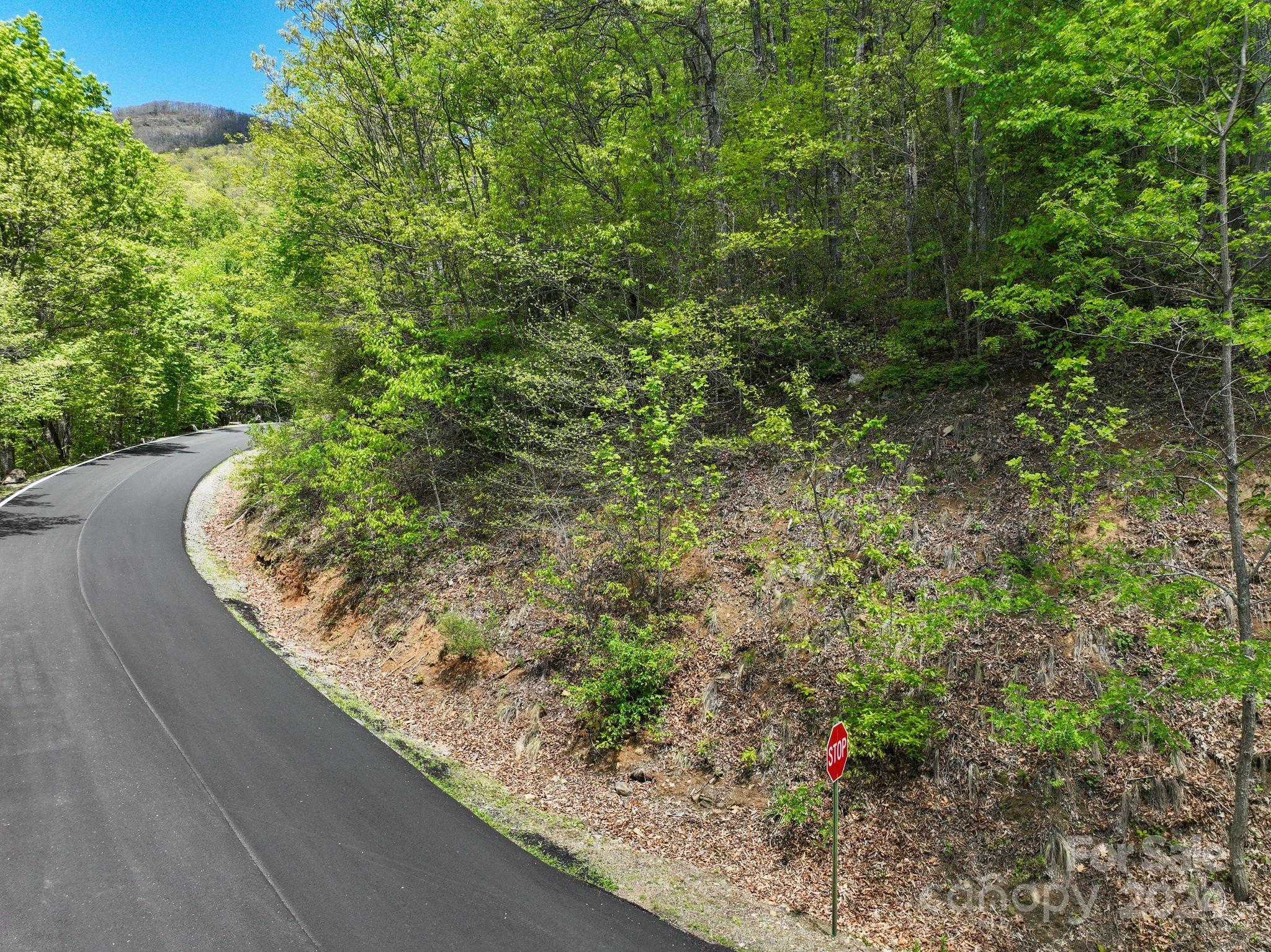 99999 Winding Poplar Road Black Mountain NC 28711