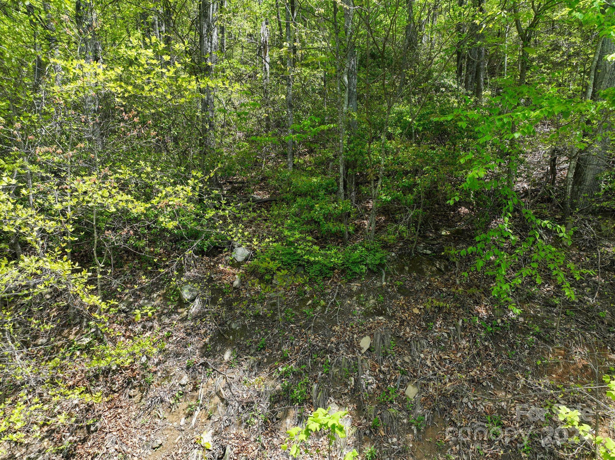 99999 Winding Poplar Road Black Mountain NC 28711