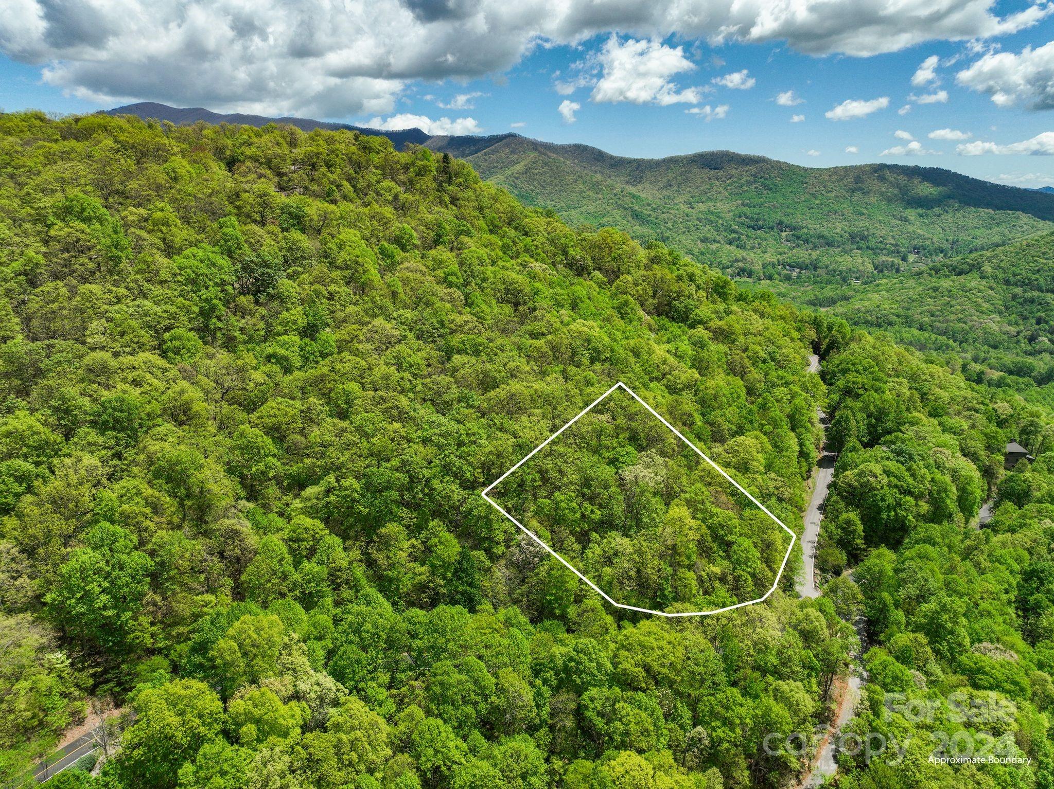99999 Winding Poplar Road Black Mountain NC 28711